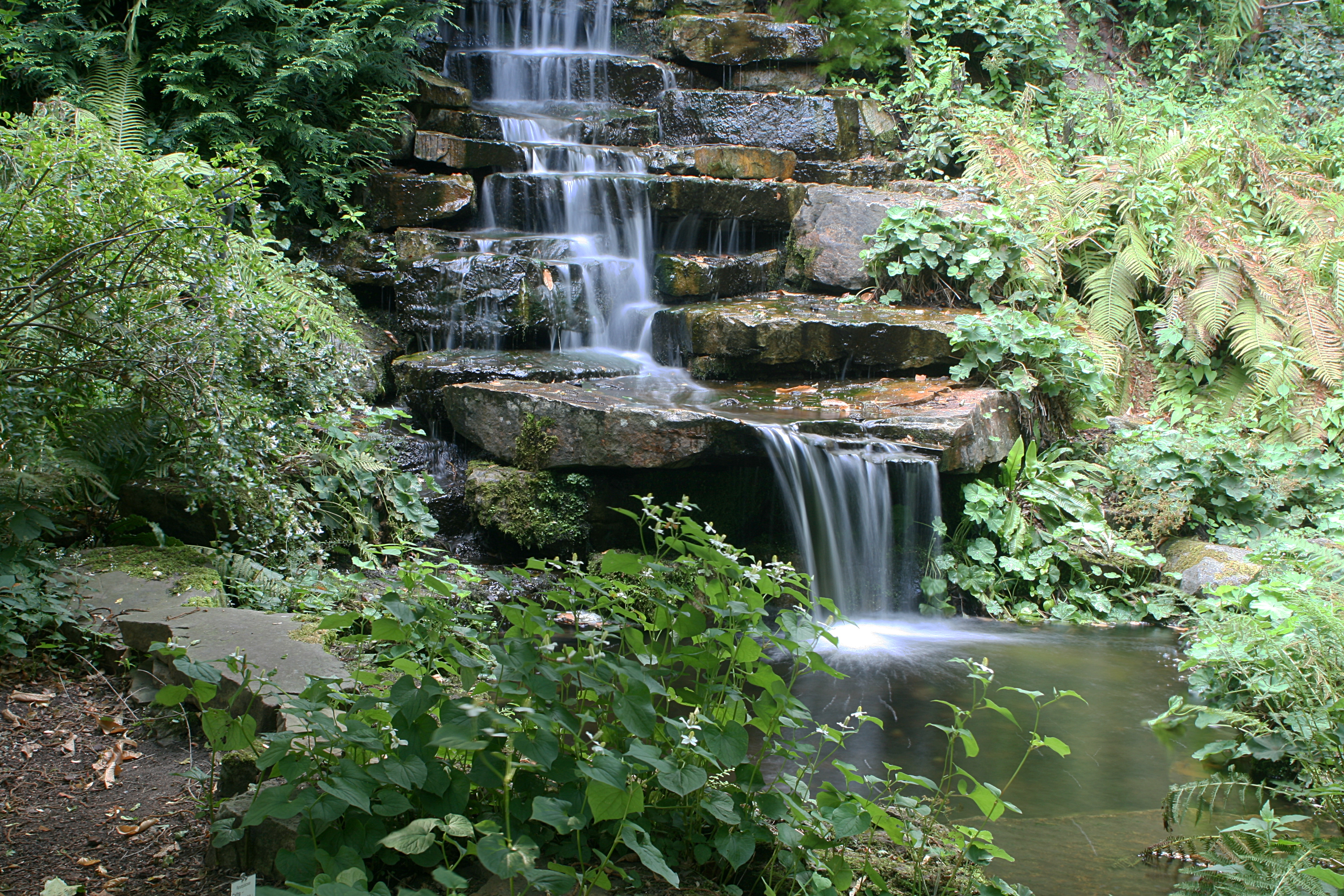 20080804174140.jpg