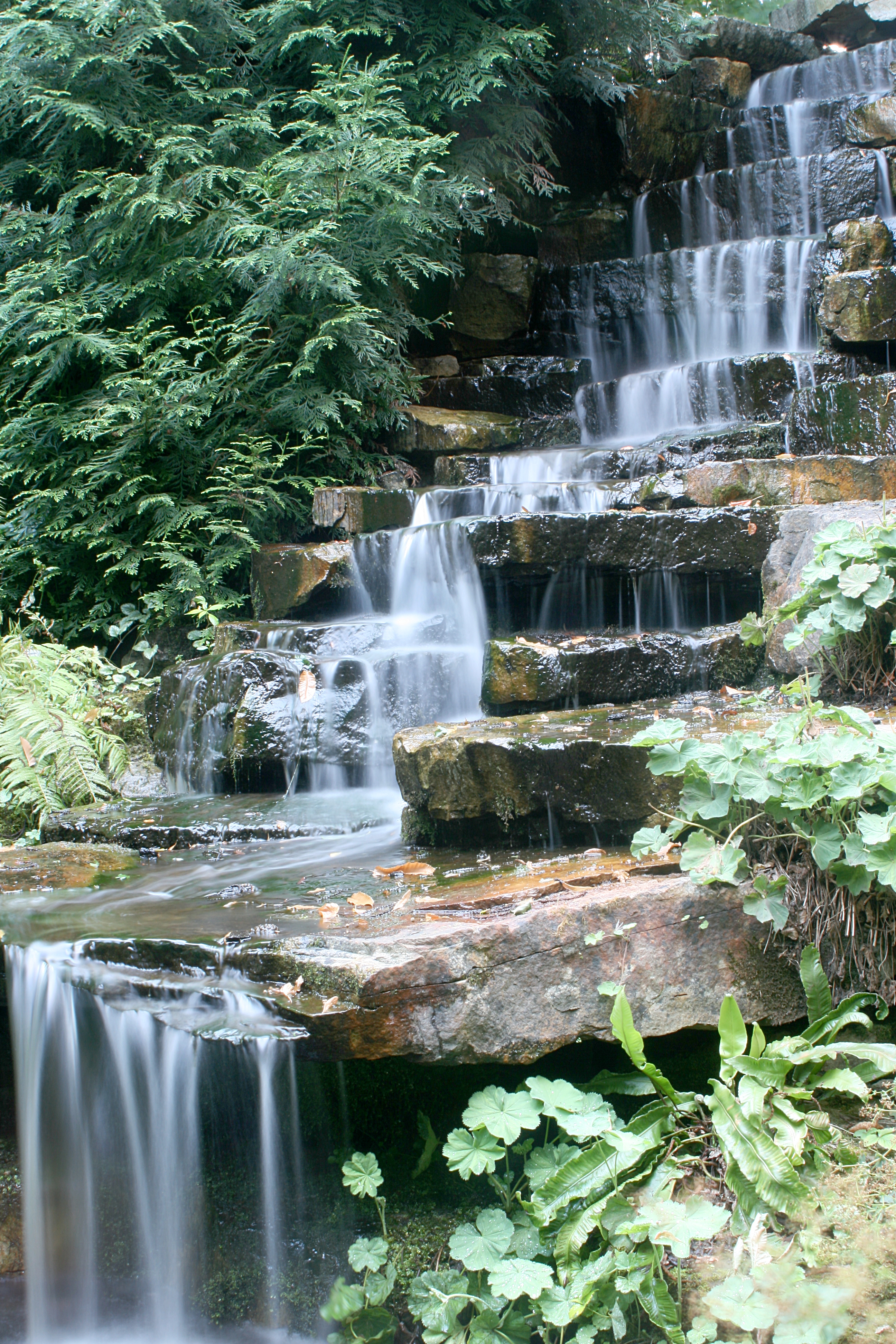20080804174256.jpg