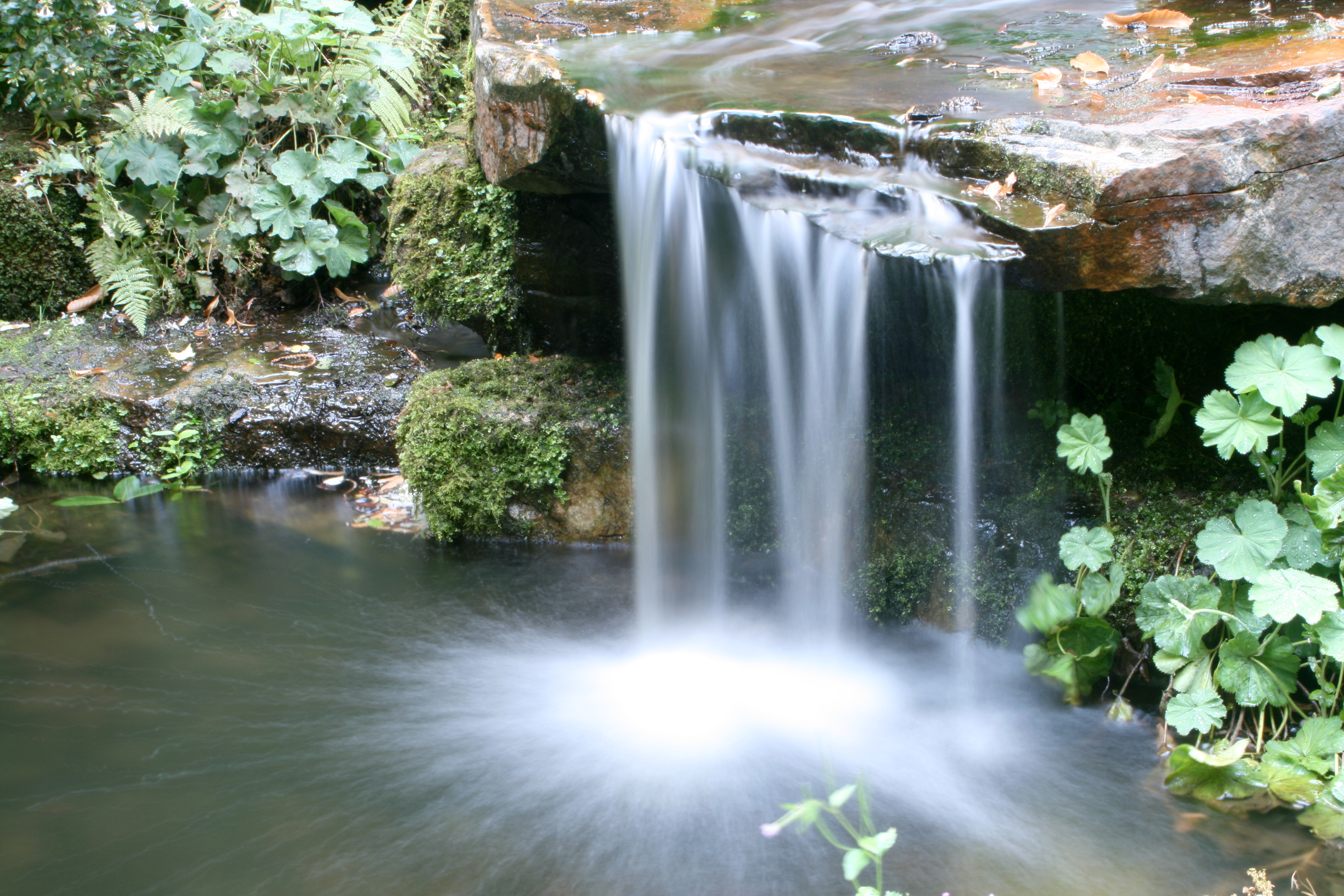 20080804174324.jpg