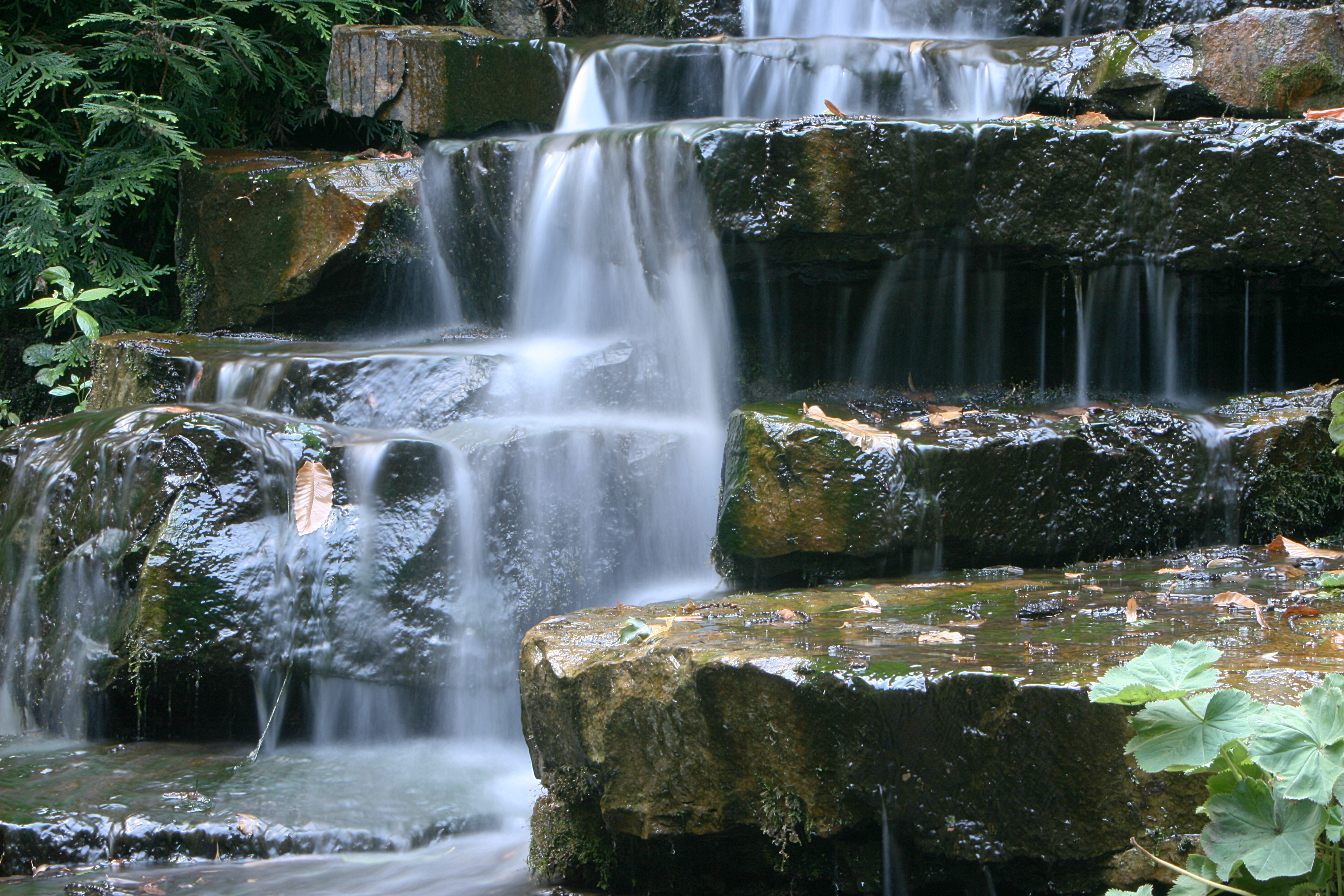 20080804174353.jpg