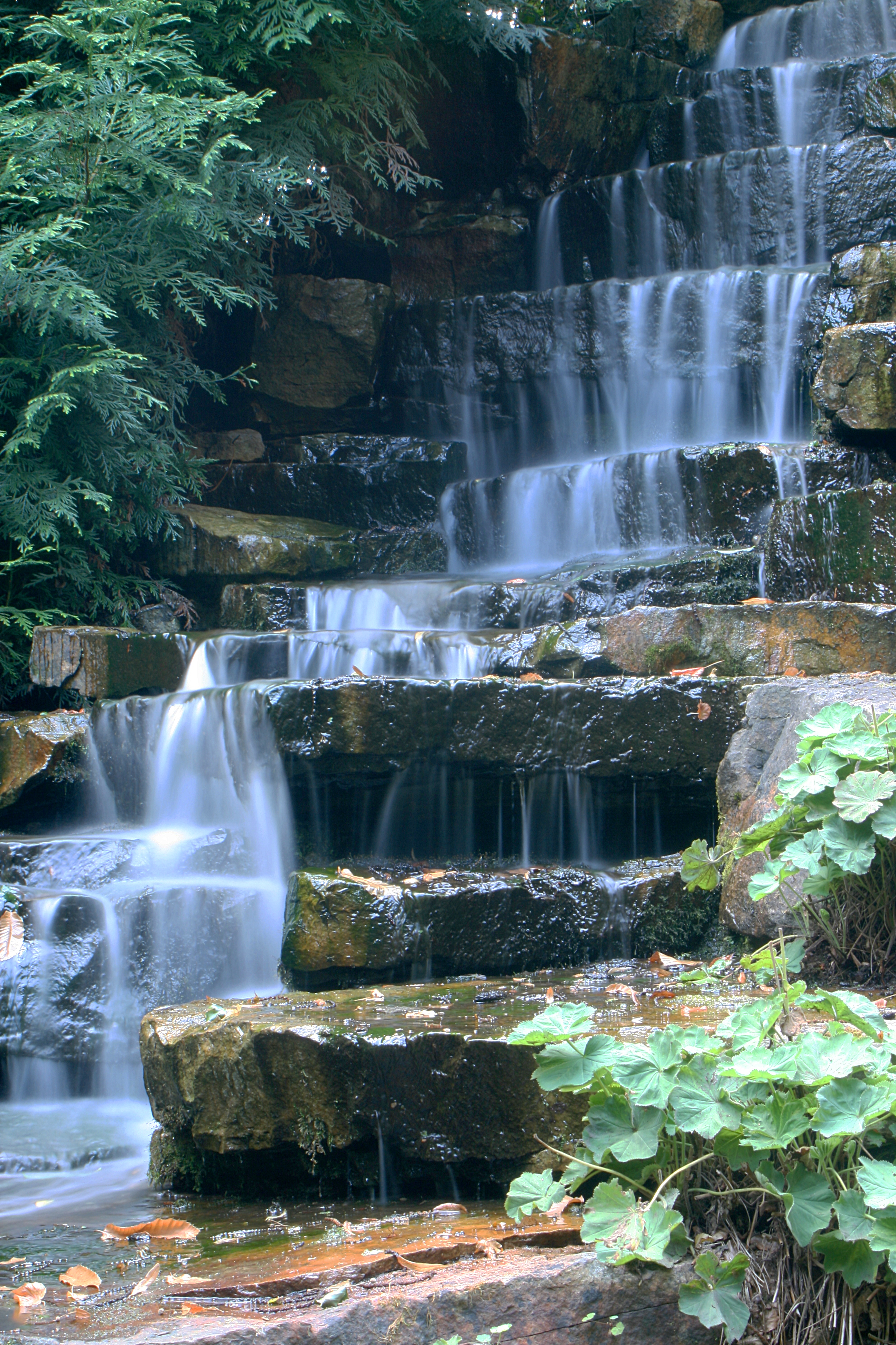 20080804174424.jpg