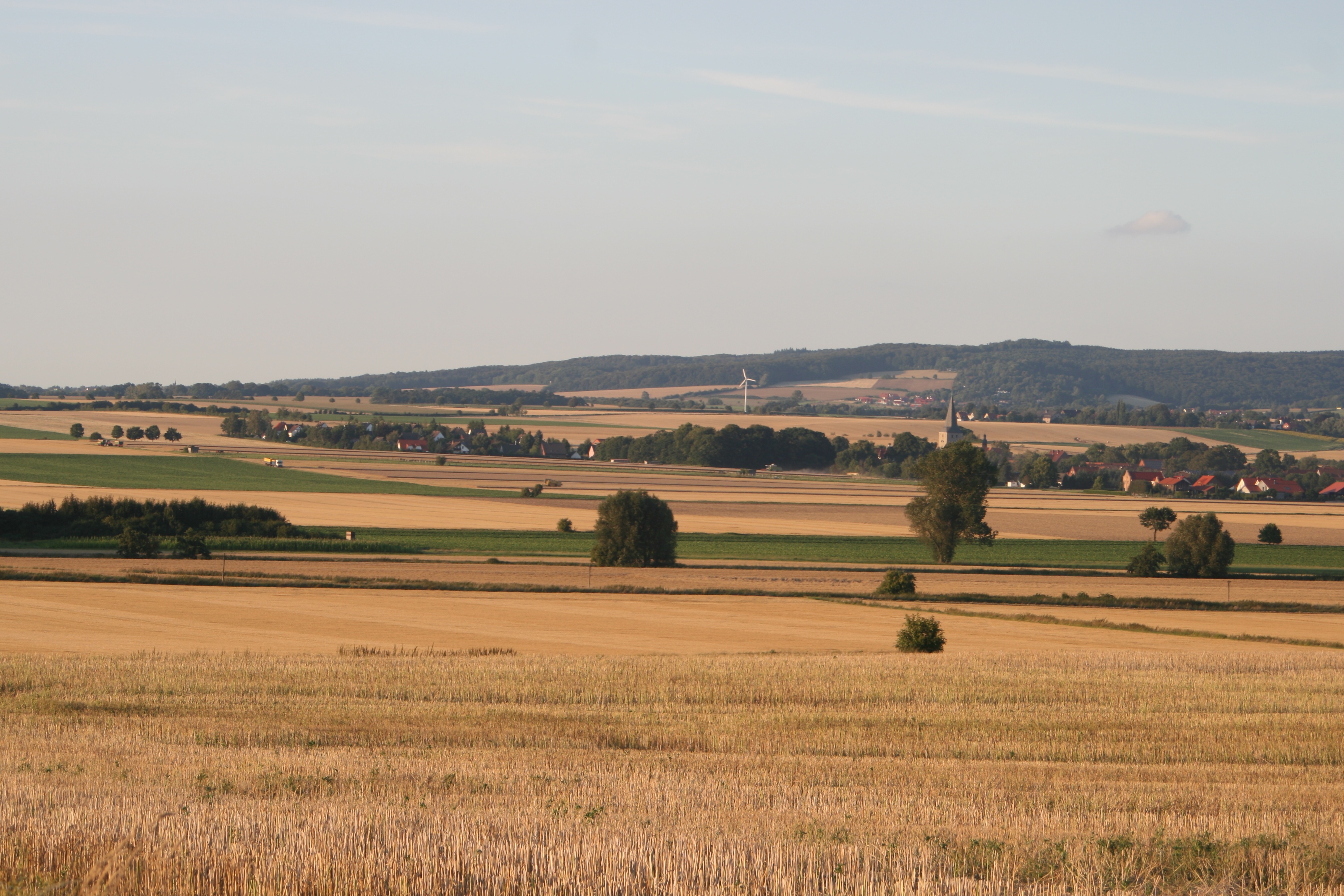 20080805200027.jpg