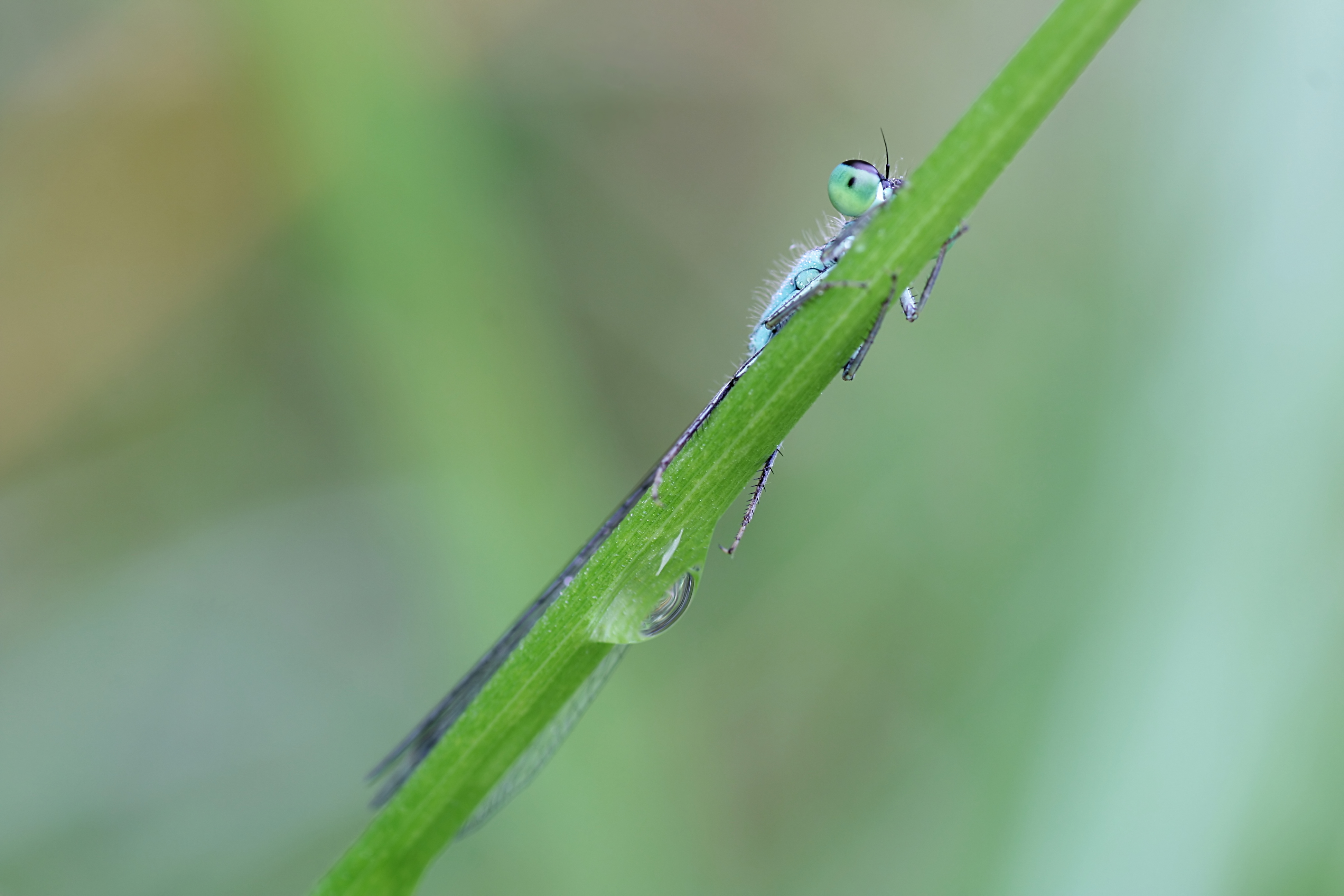 20080806062630.jpg