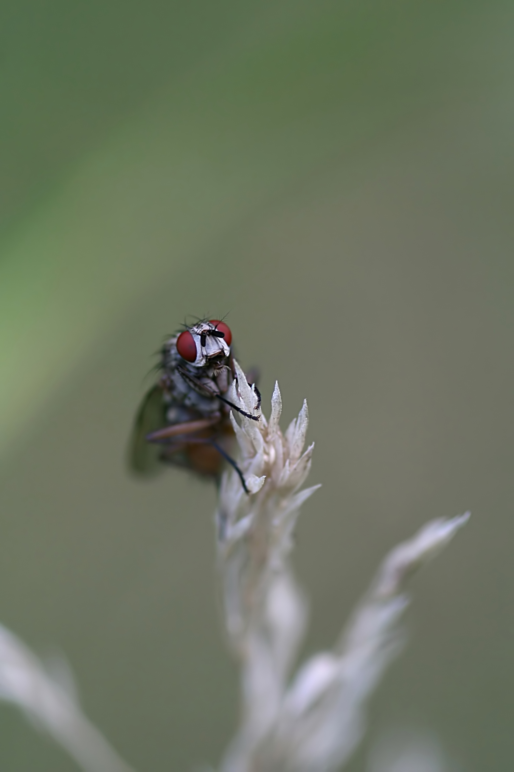 20080806064316.jpg