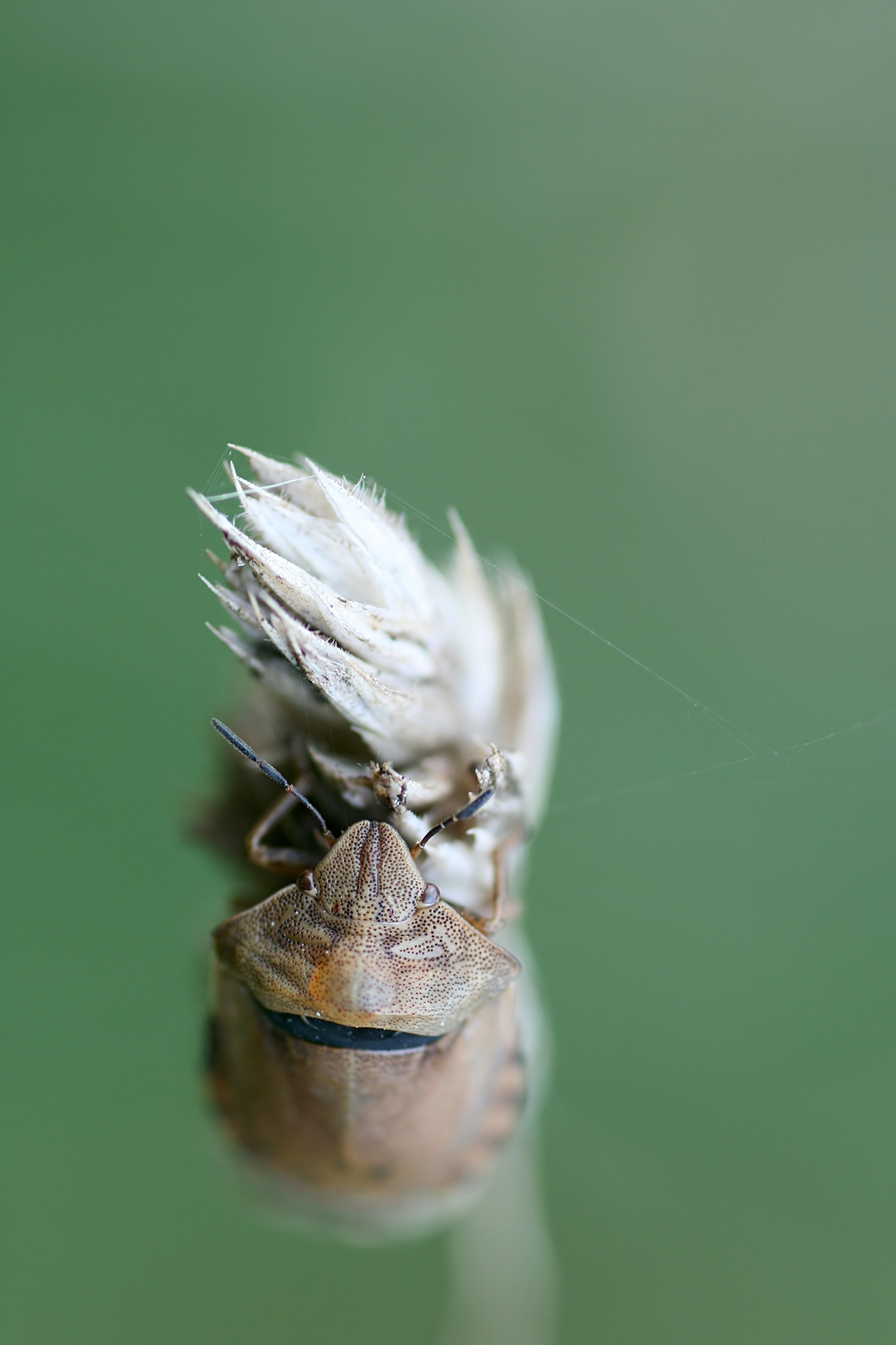 20080807062810.jpg
