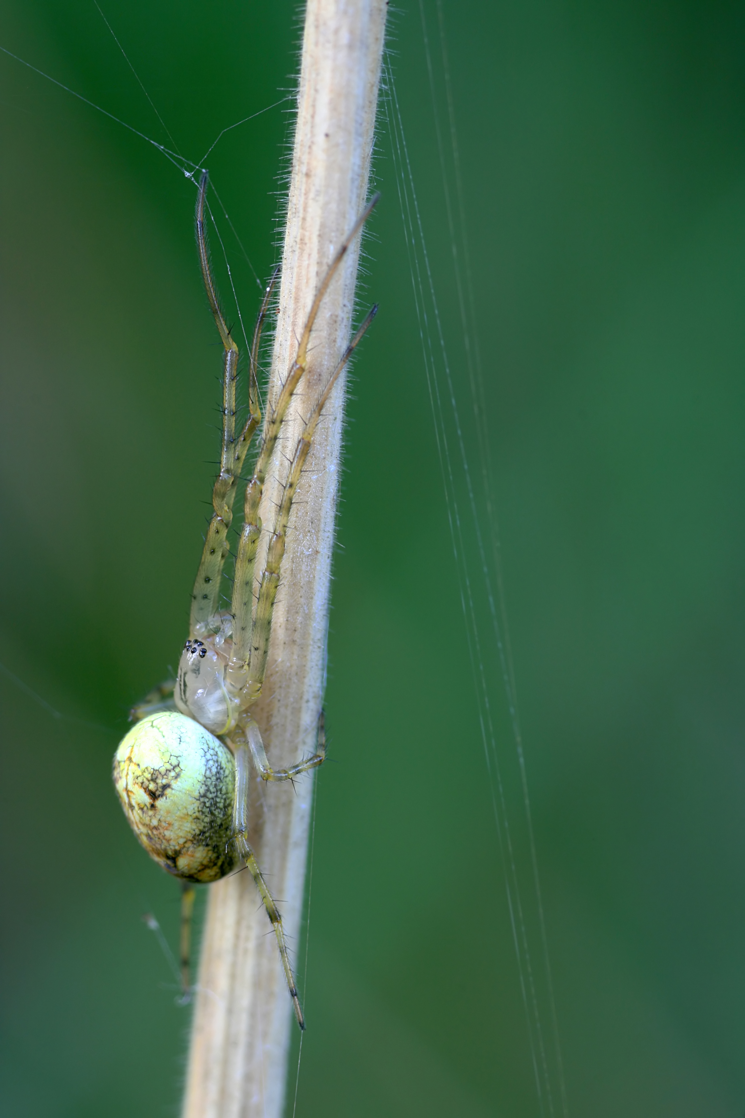 20080808071435.jpg