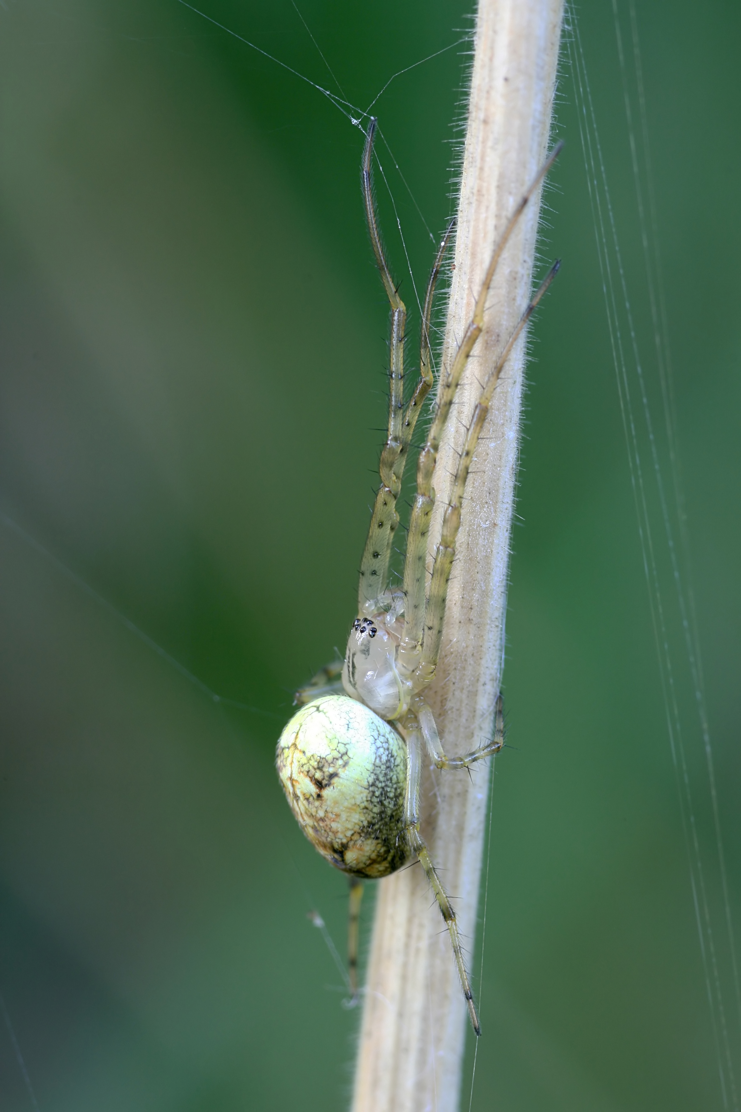 20080808071514.jpg