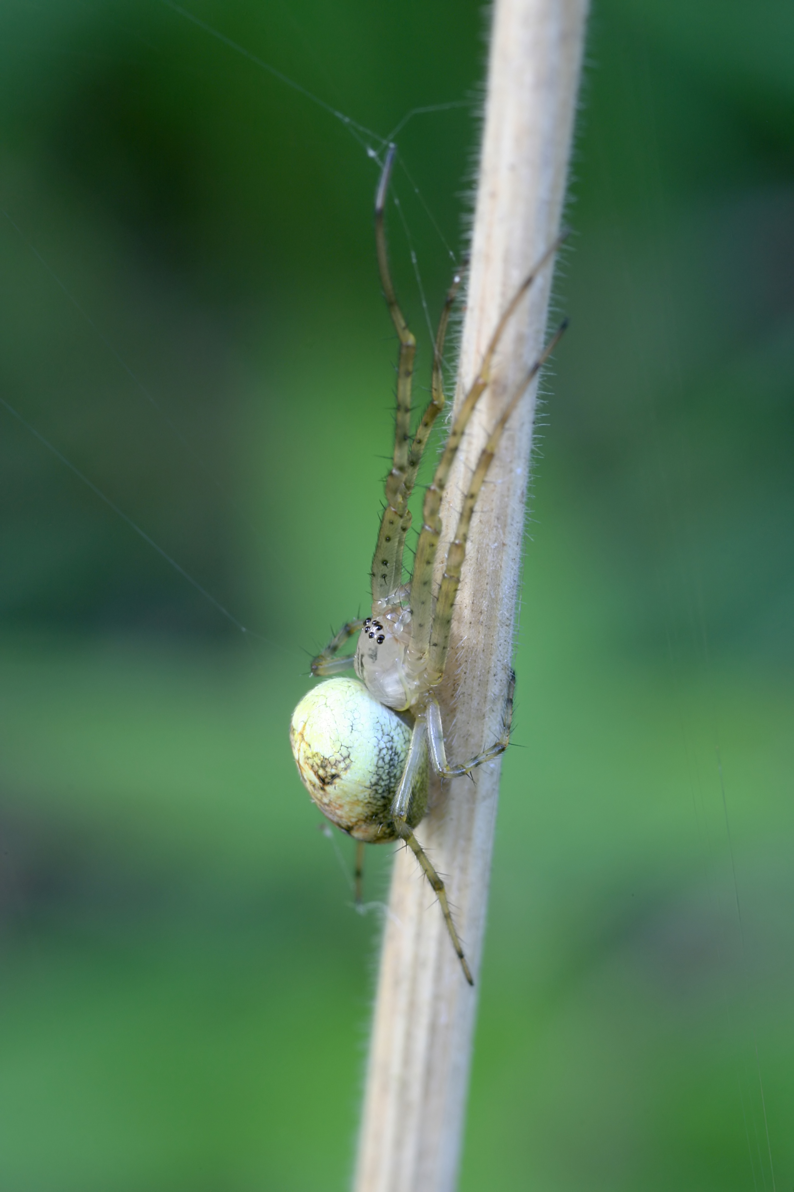 20080808071815.jpg