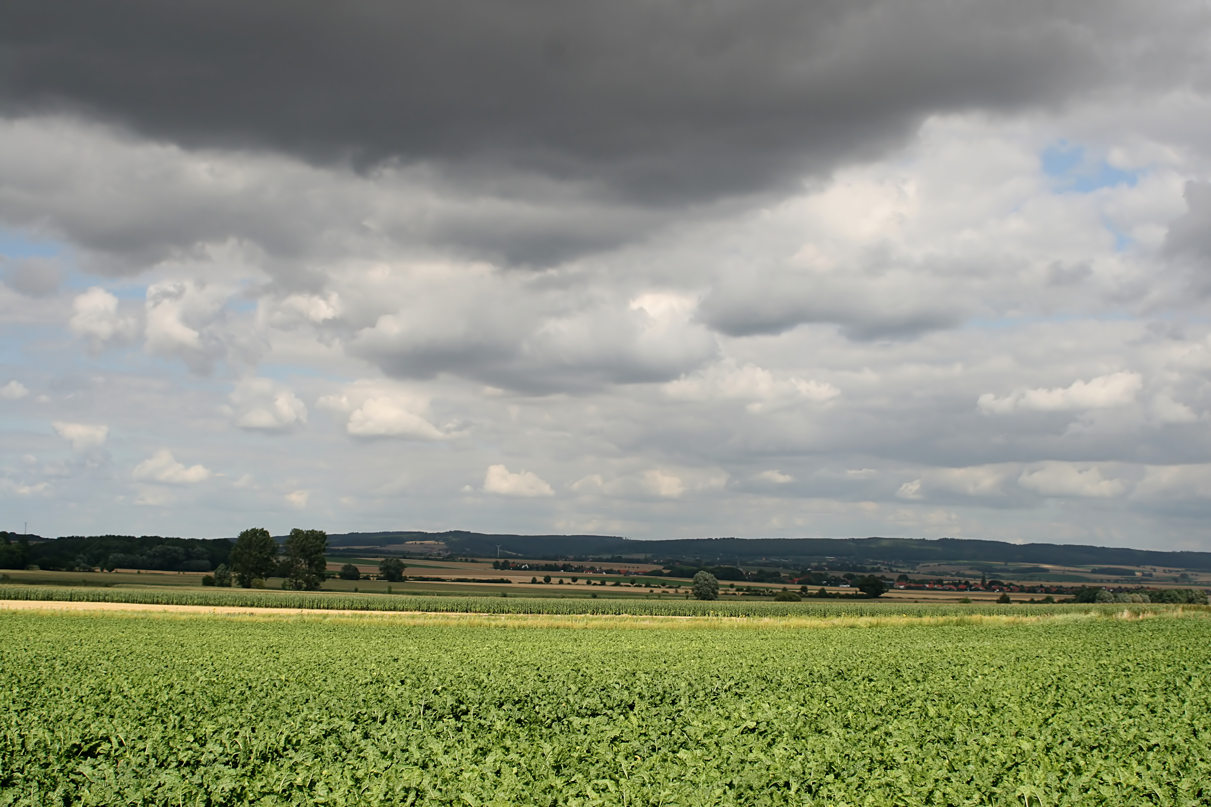 20080809160015.jpg