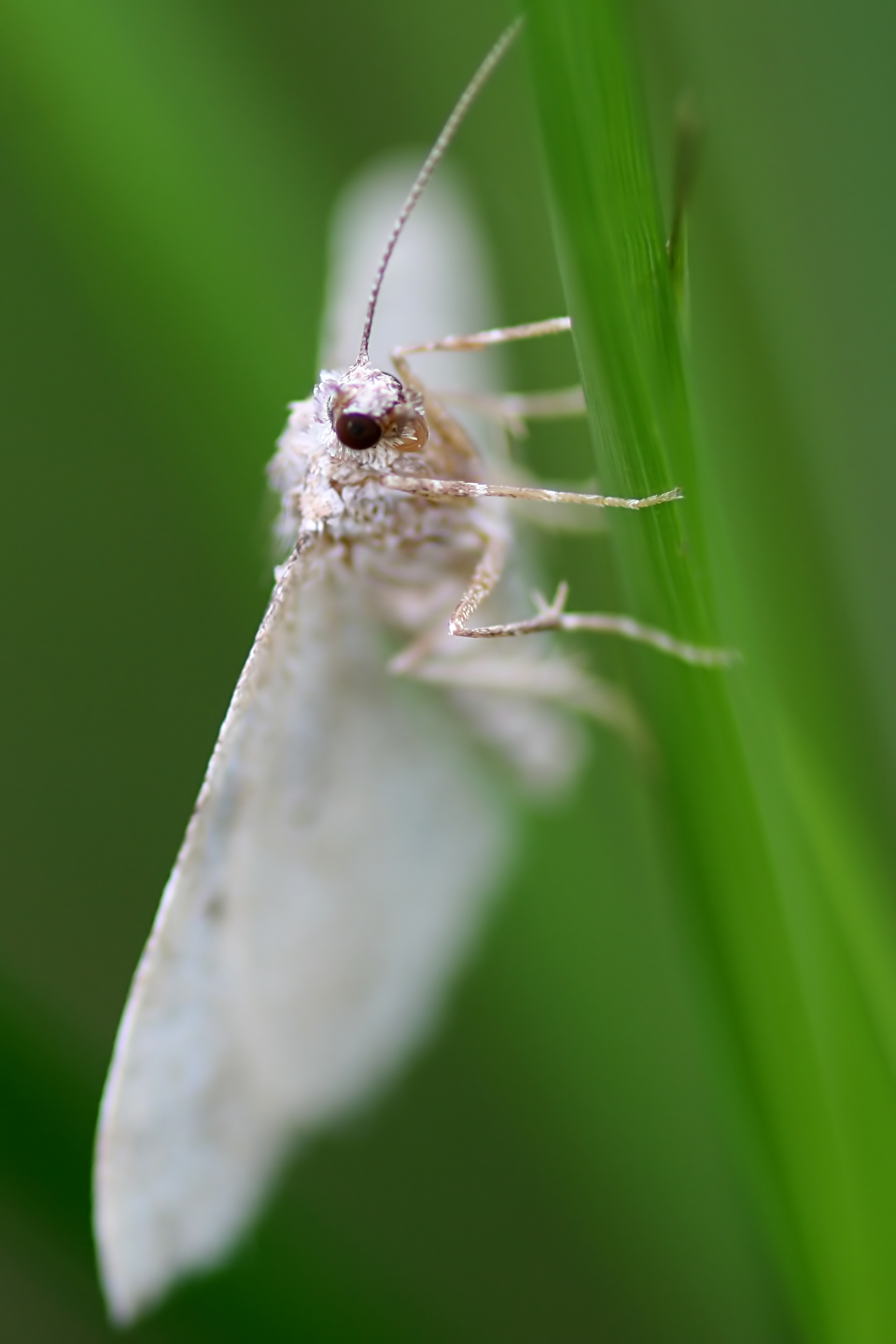 20080809173137.jpg