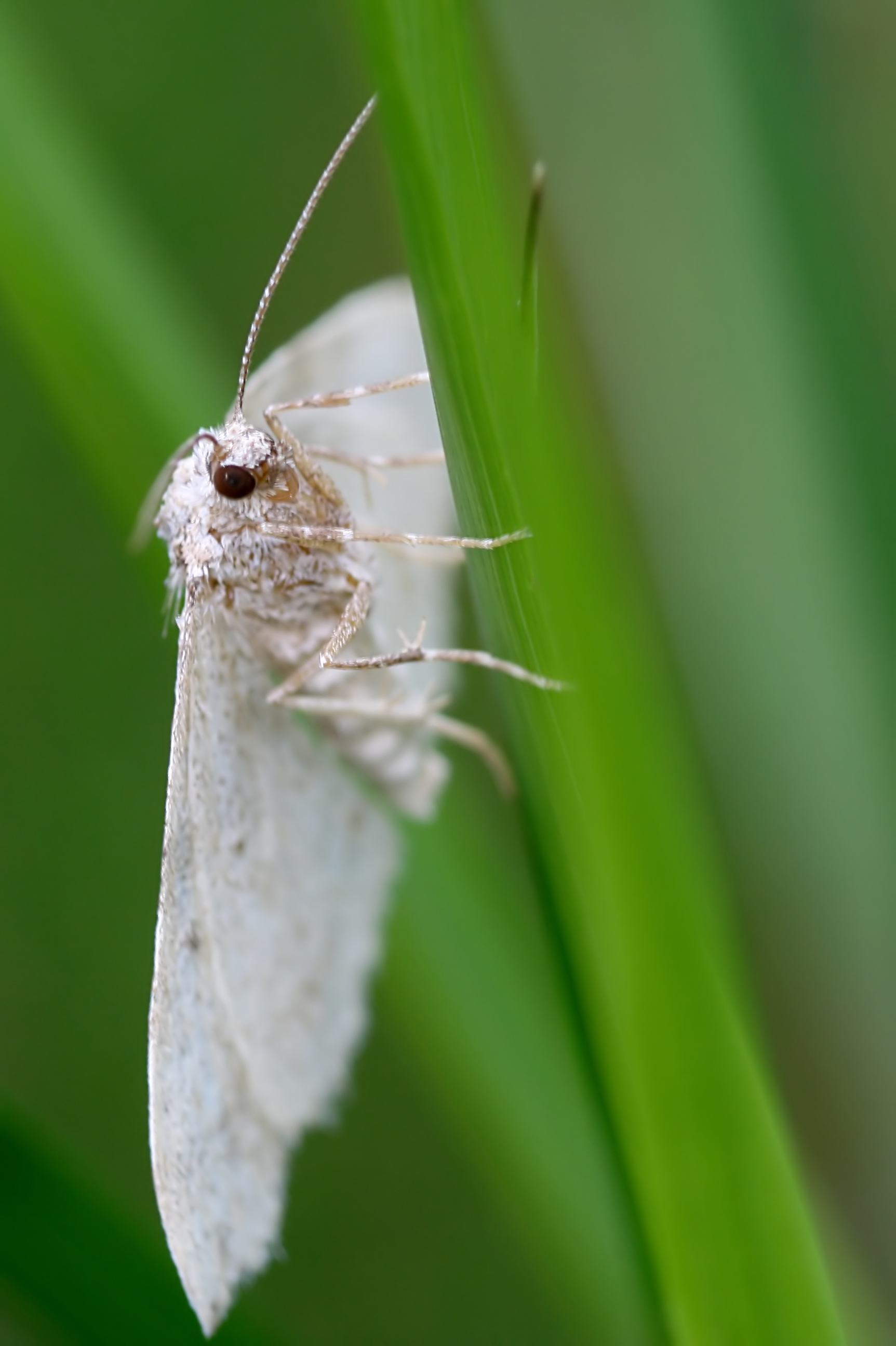 20080809173201.jpg