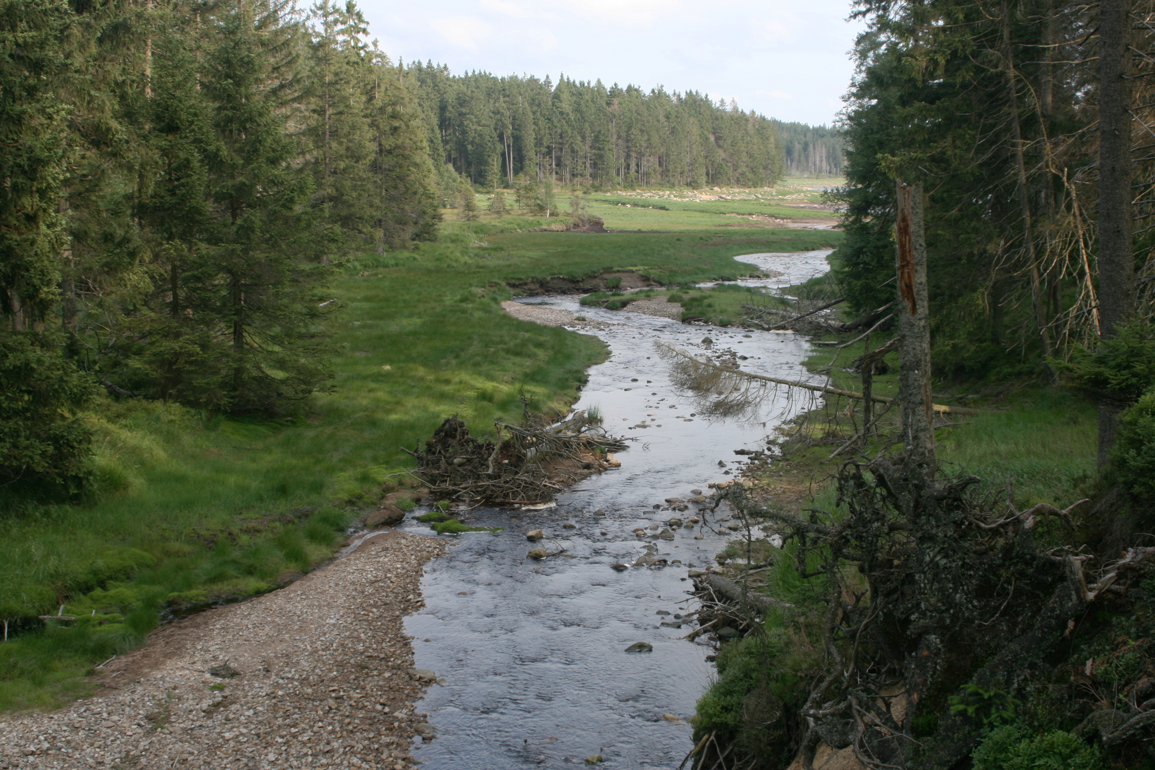 20080809182516.jpg