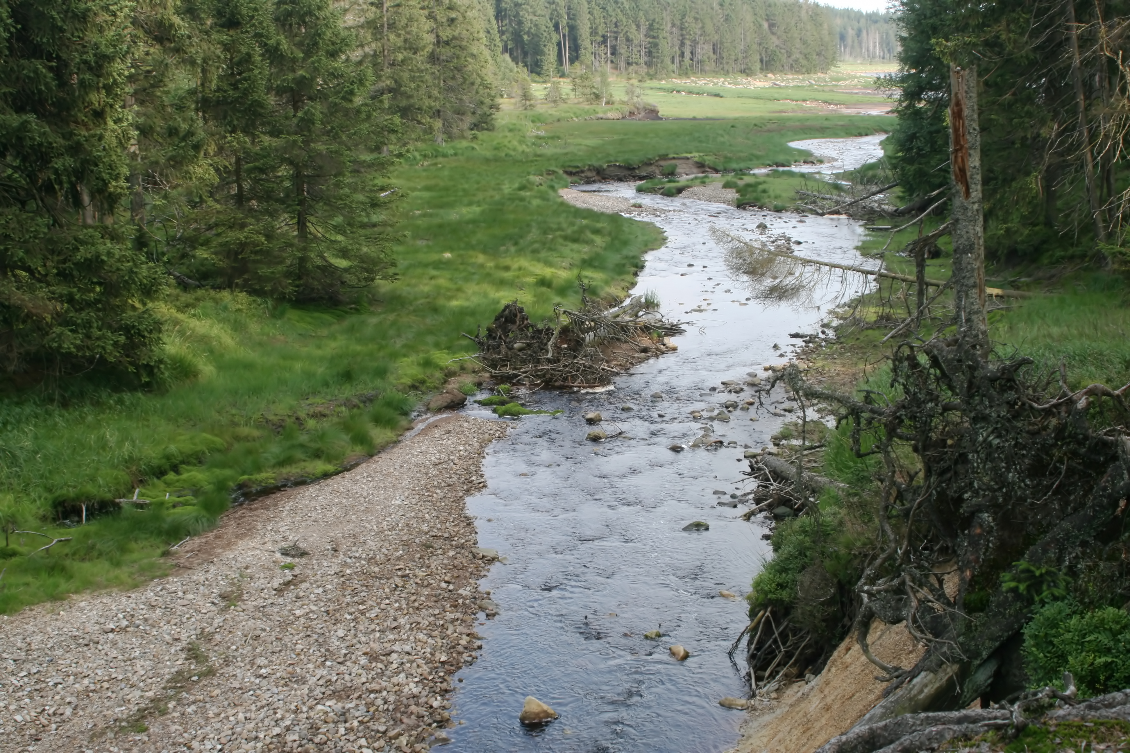 20080809182532.jpg