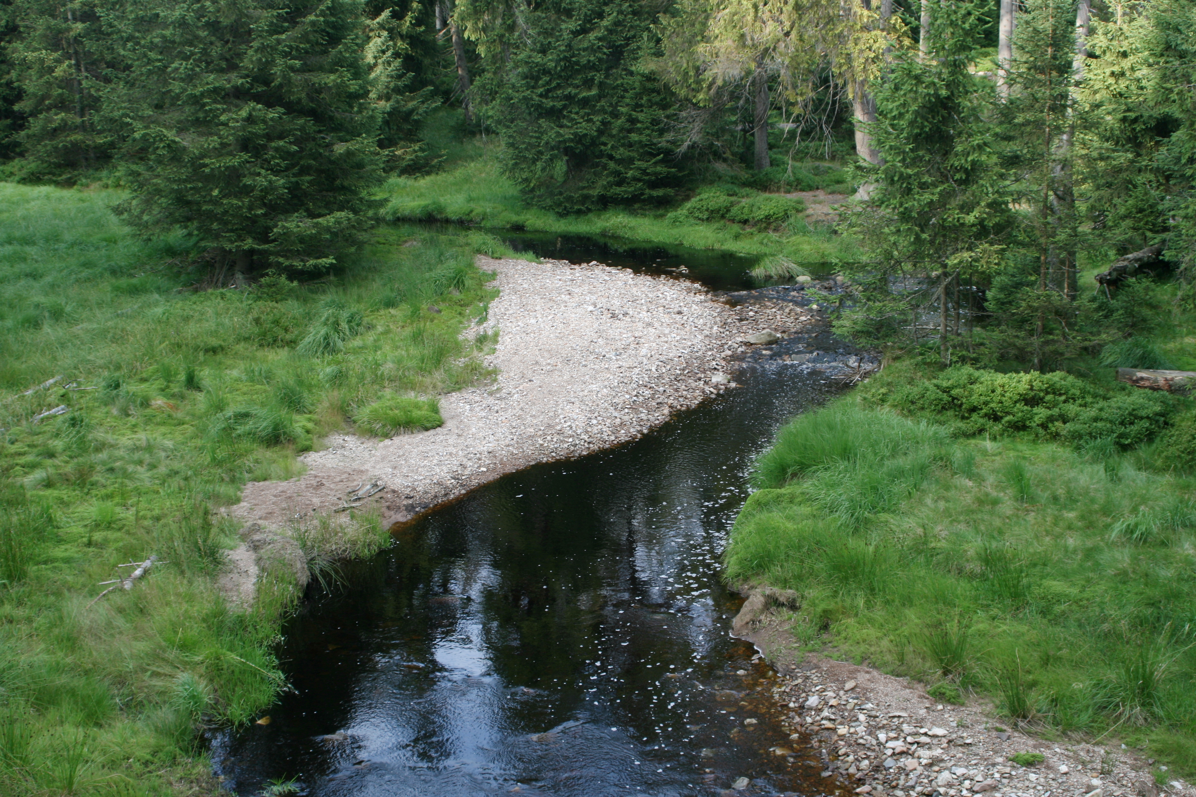 20080809182550.jpg