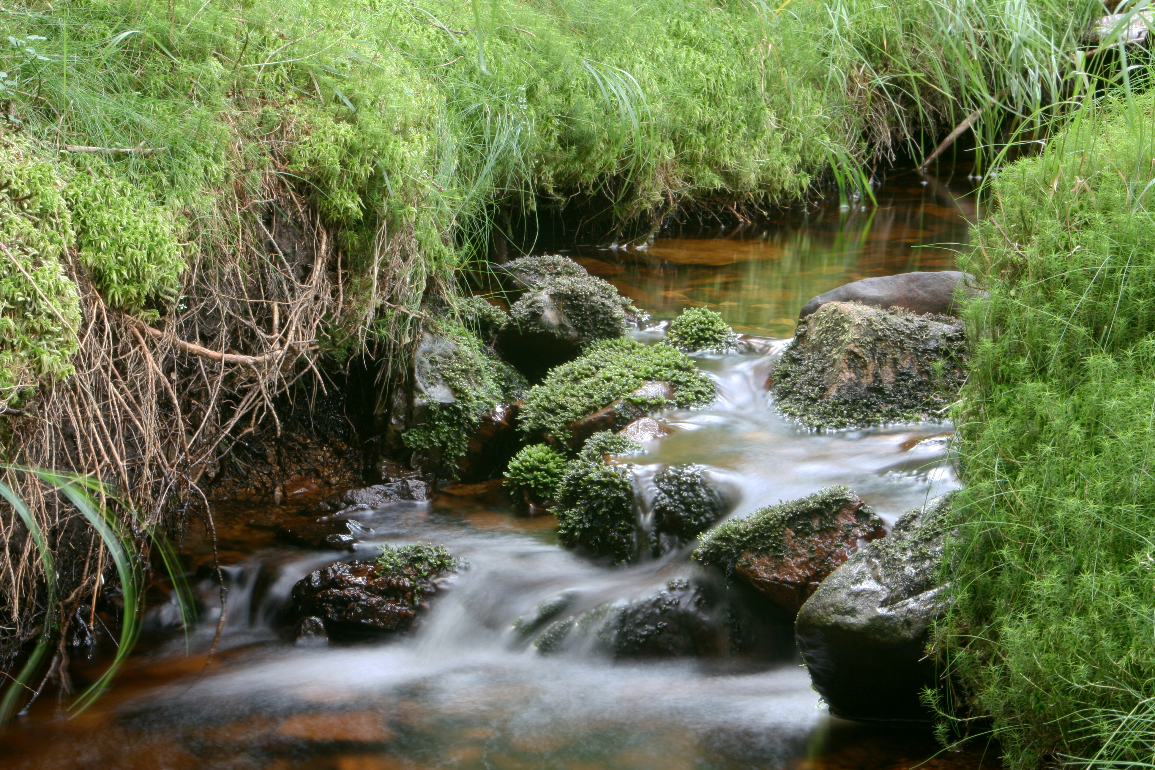 20080809183037.jpg