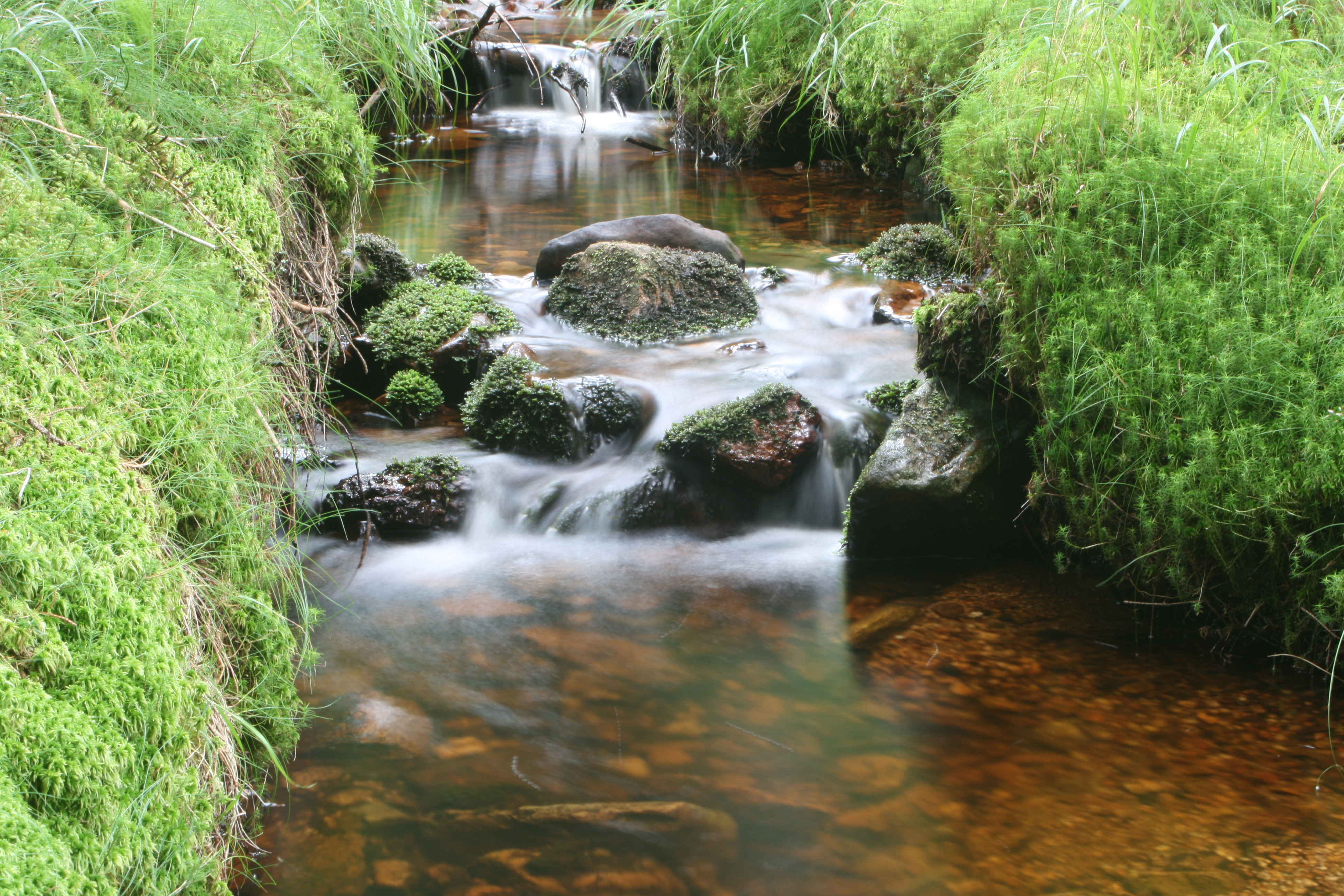 20080809183227.jpg