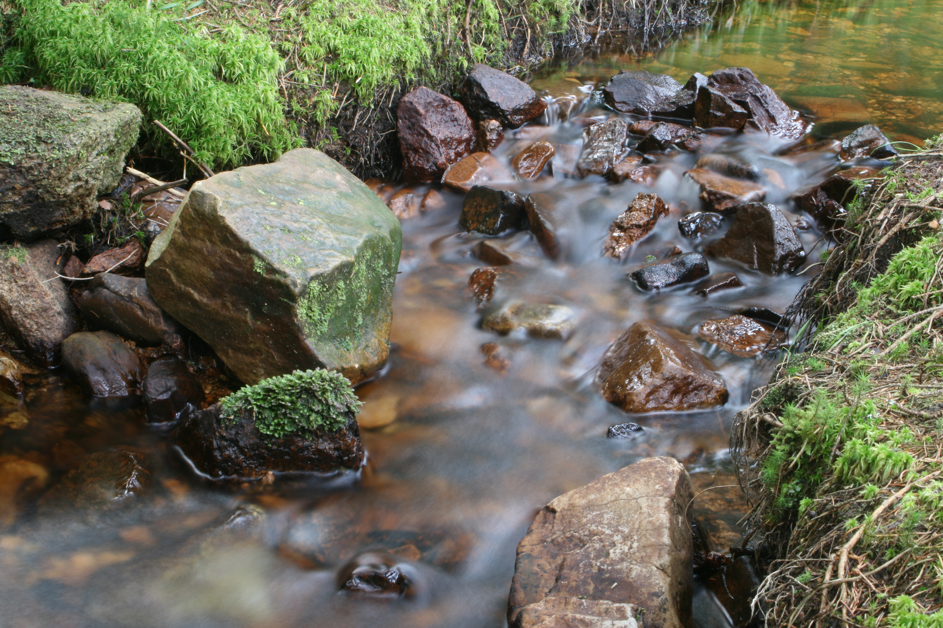 20080809183408.jpg
