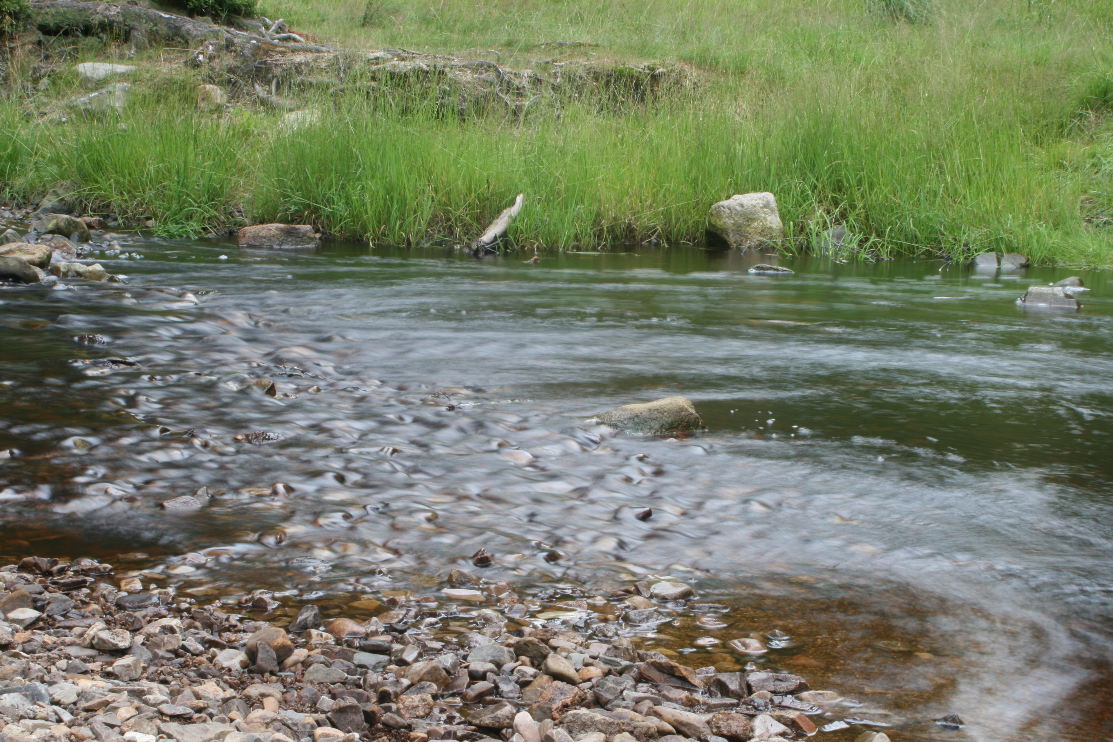 20080809183713.jpg