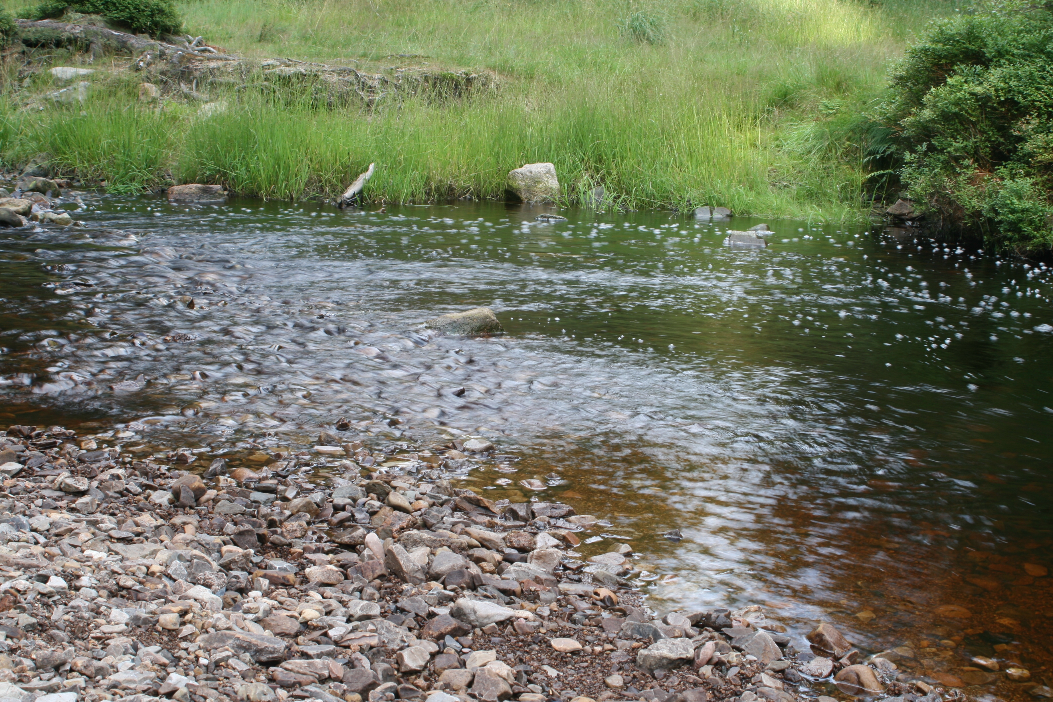 20080809183735.jpg