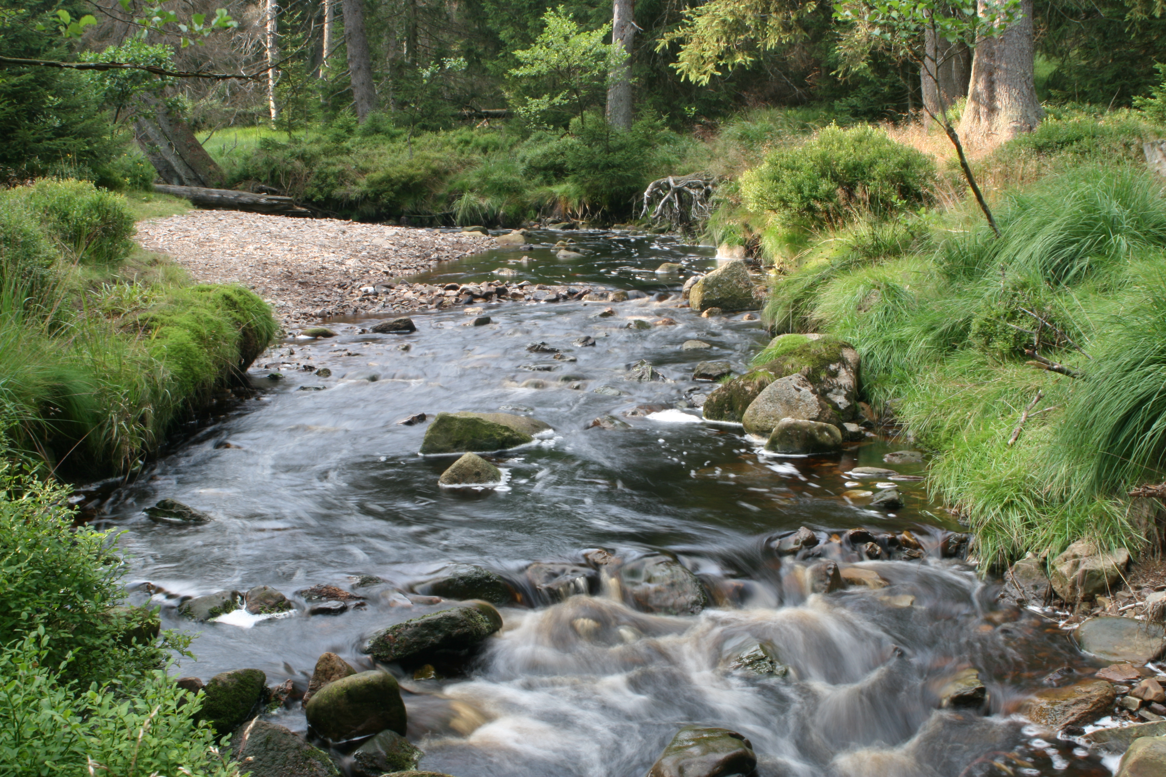 20080809183912.jpg