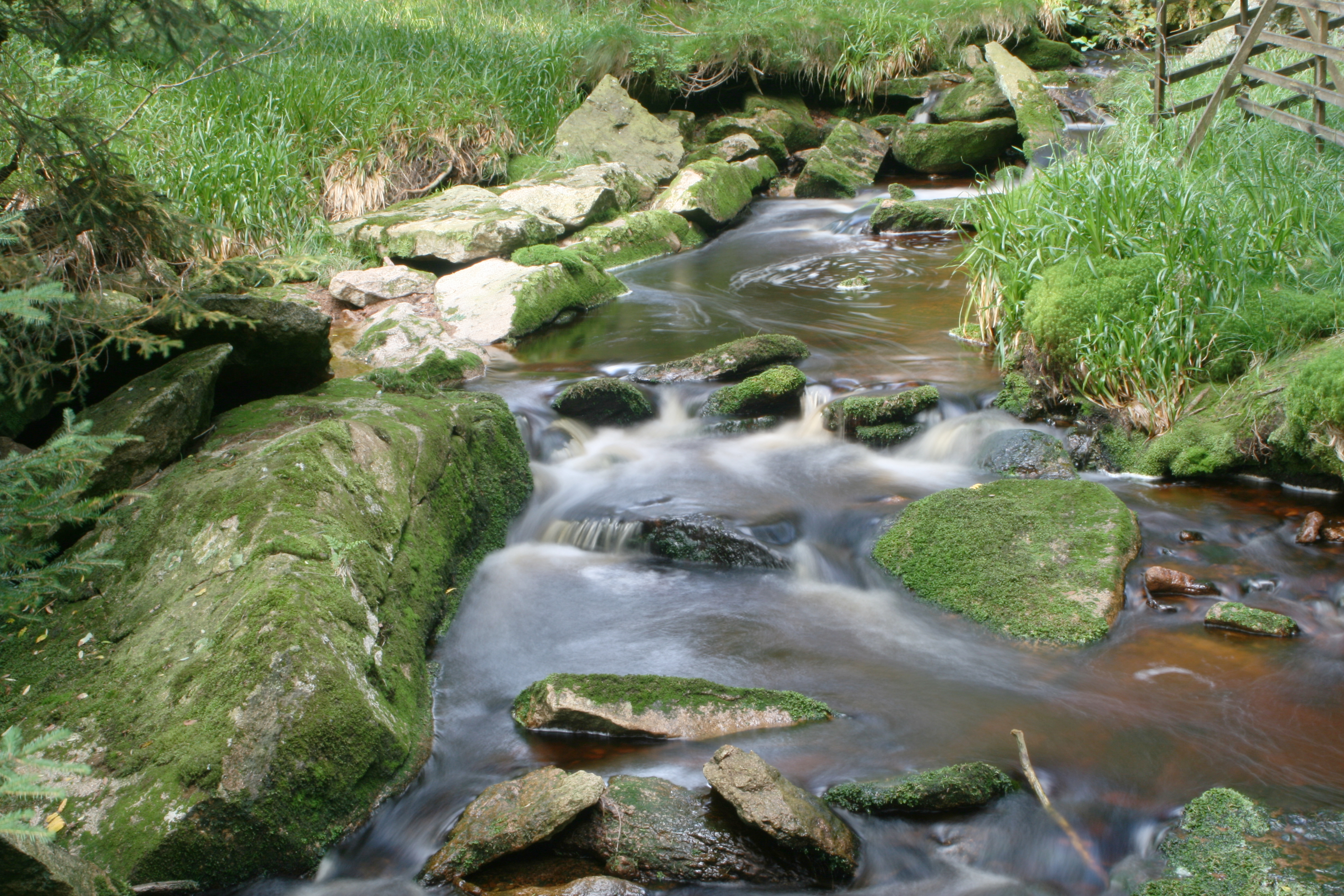 20080809185903.jpg