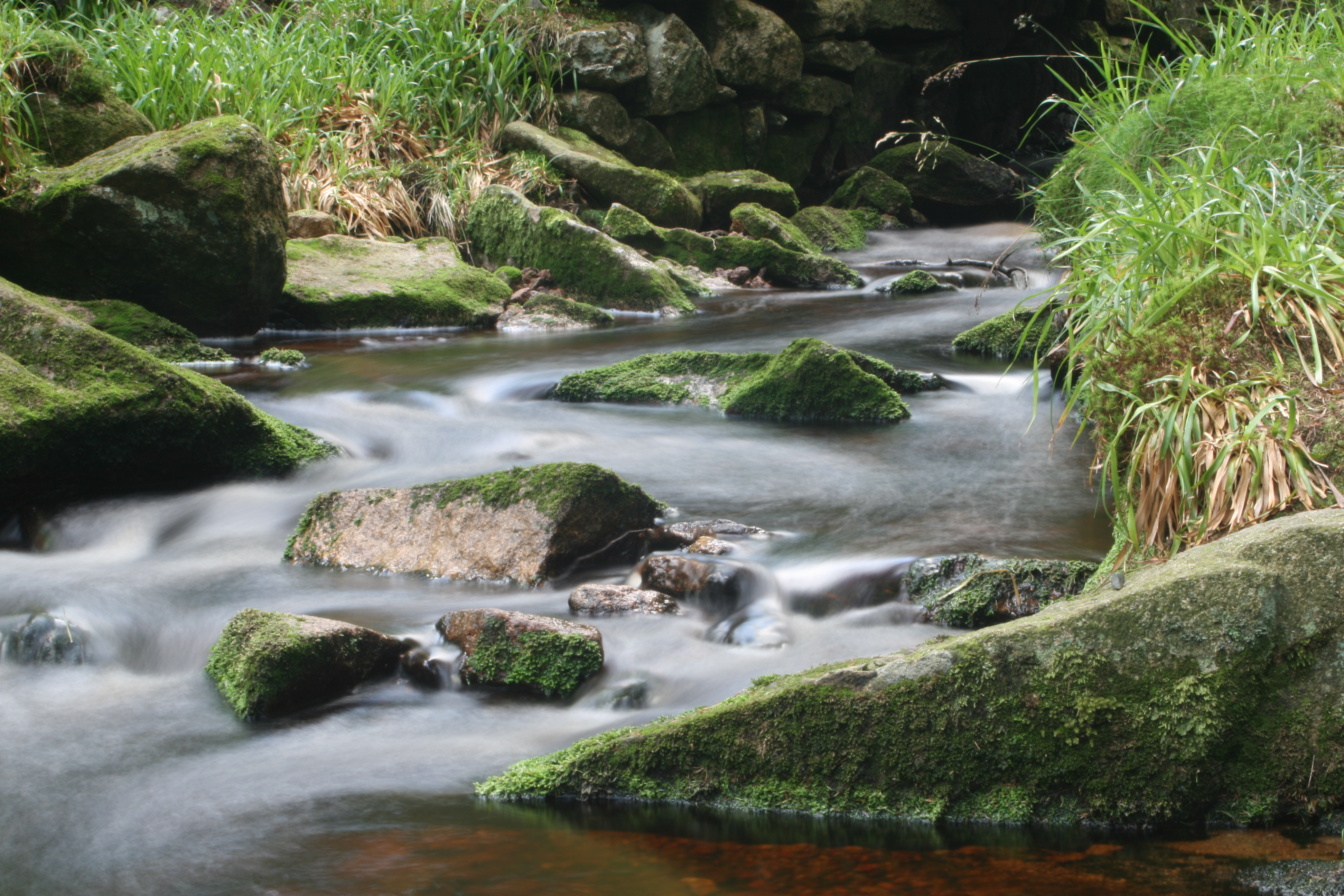 20080809190110.jpg