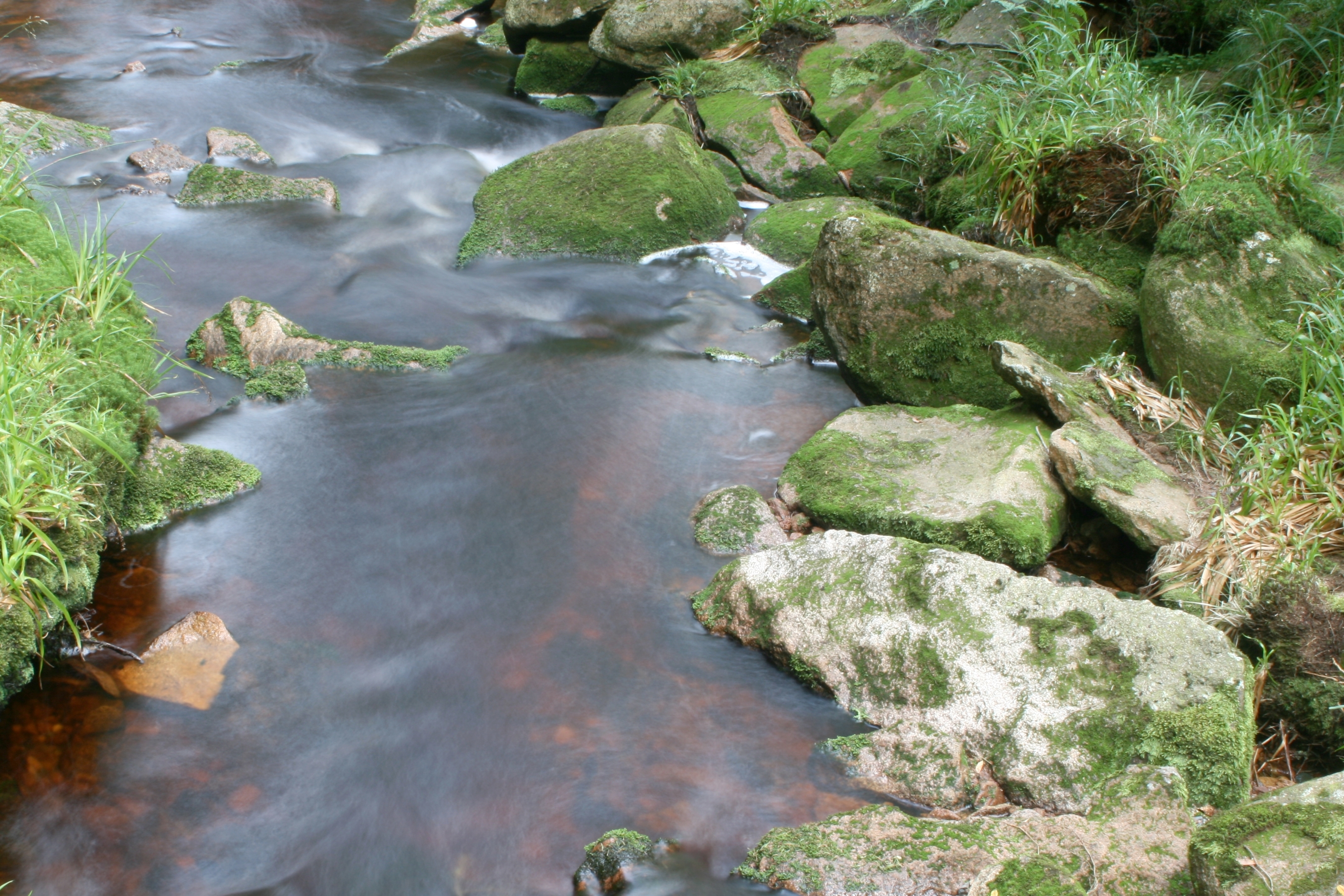 20080809190256.jpg