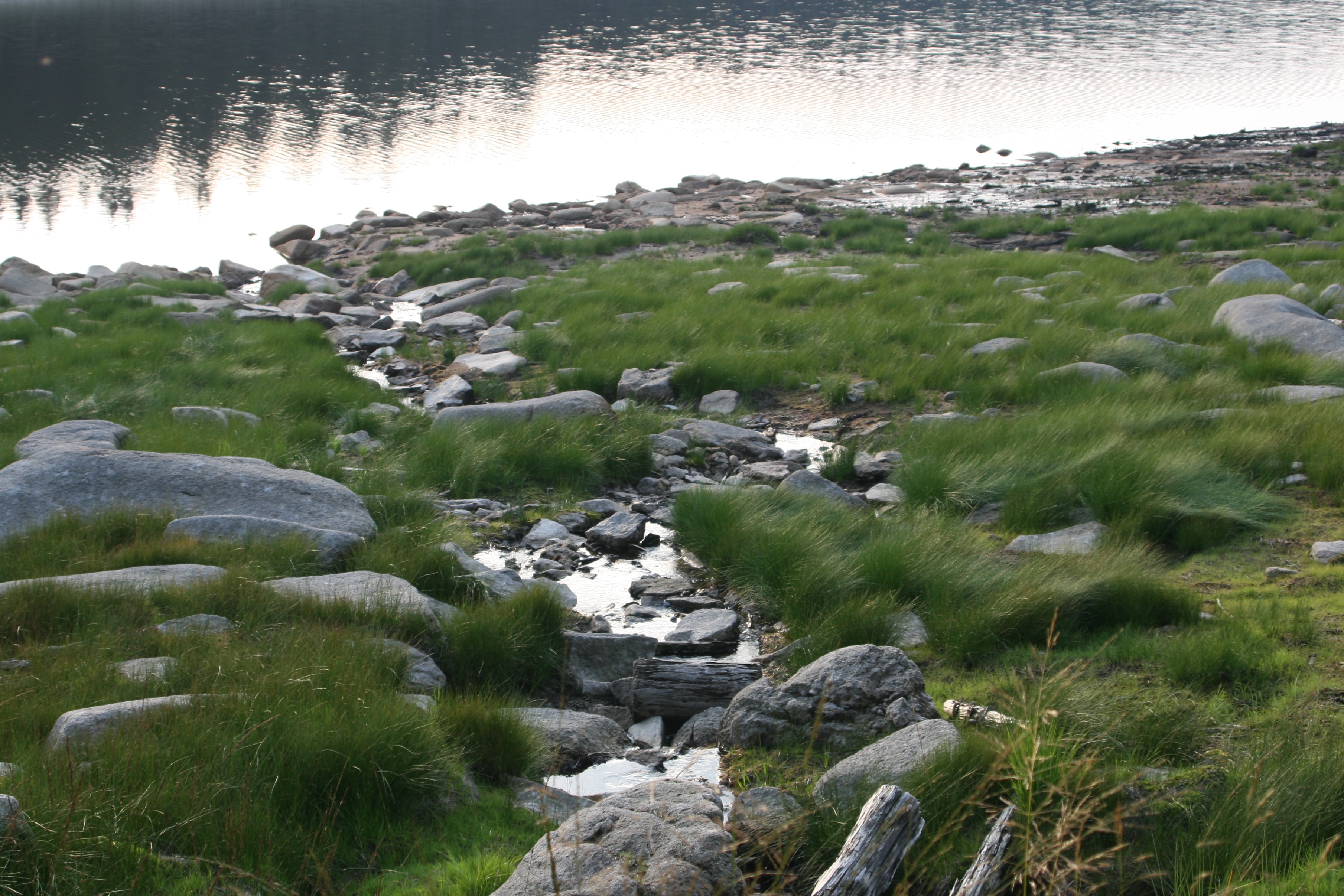 20080809192231.jpg