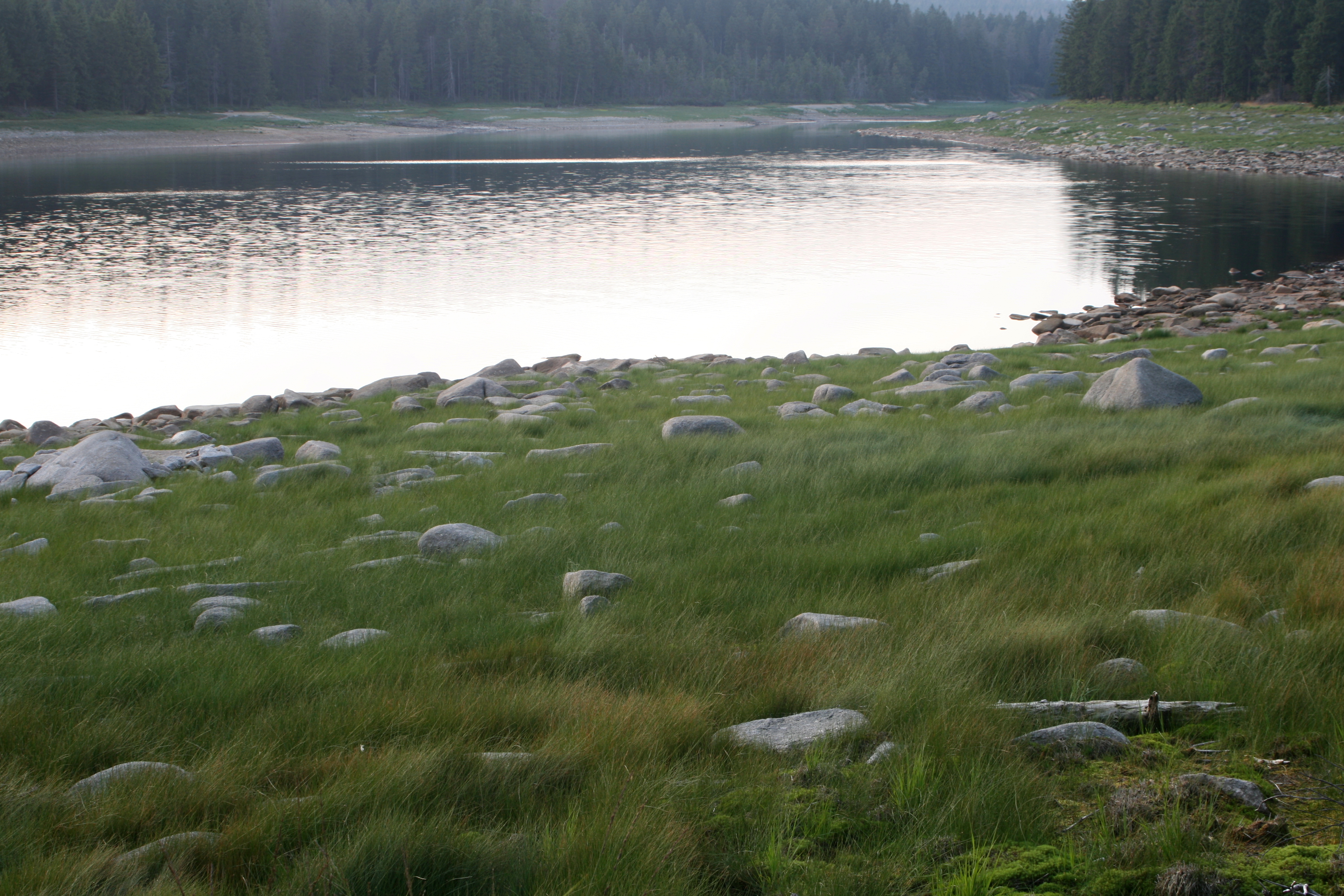 20080809192418.jpg