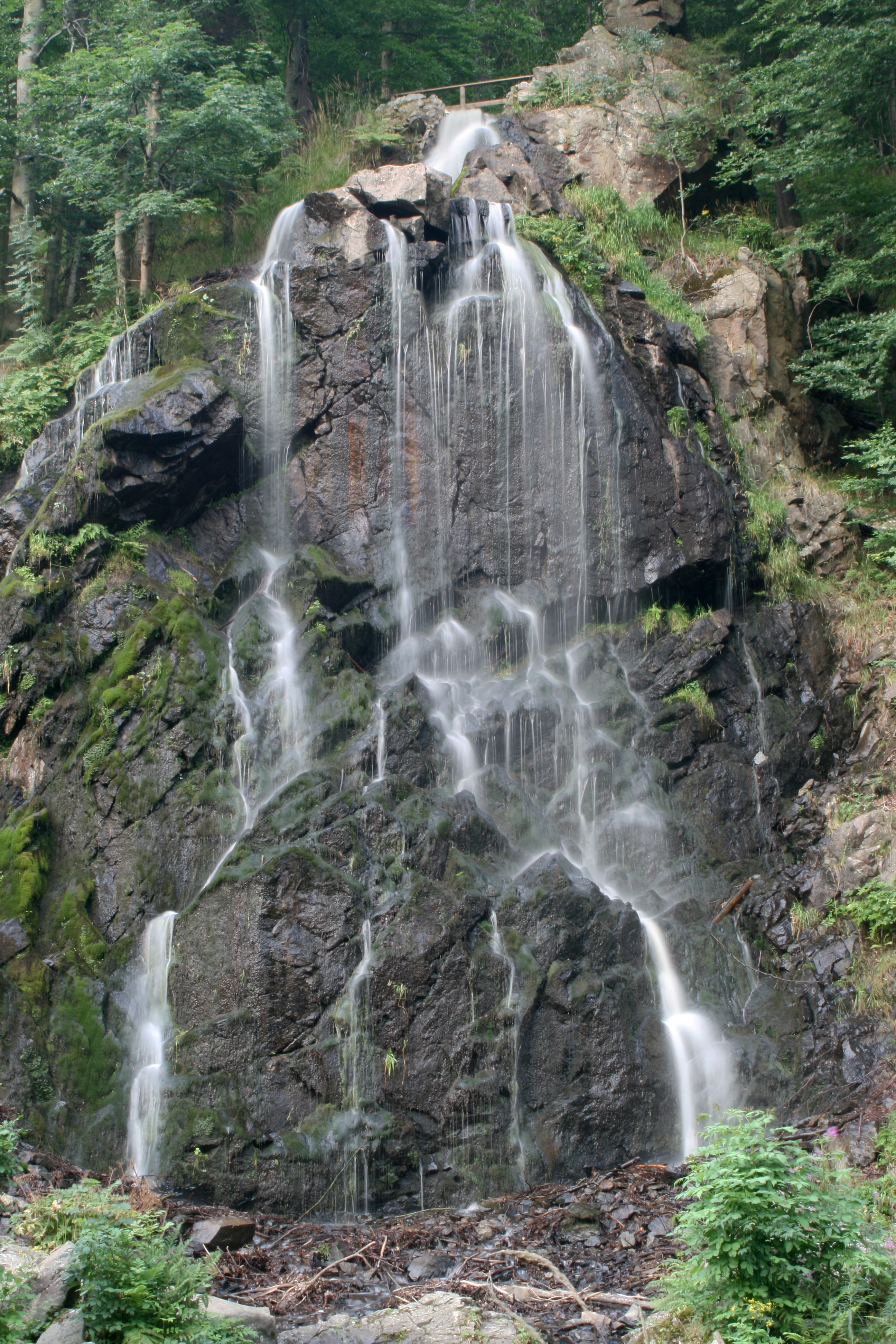 20080809202205.jpg