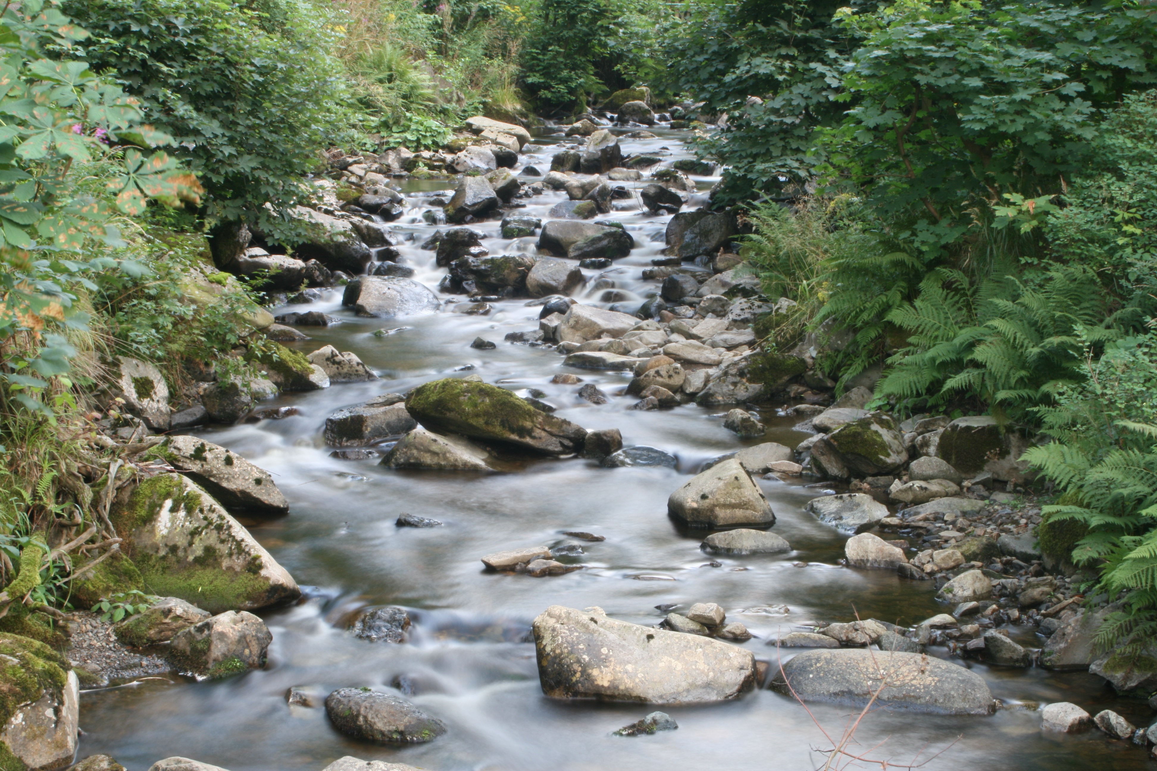 20080809202413.jpg