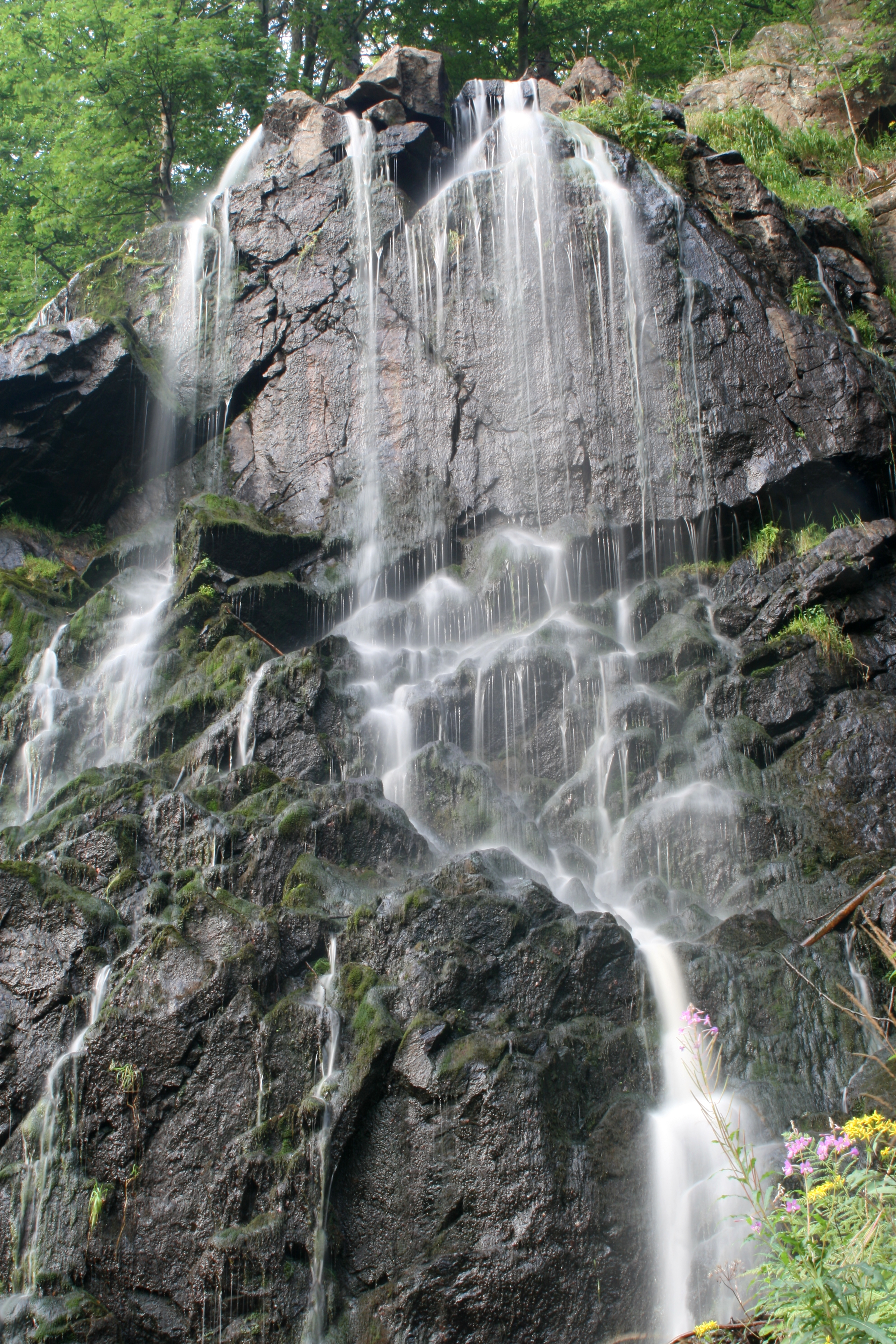 20080809202533.jpg