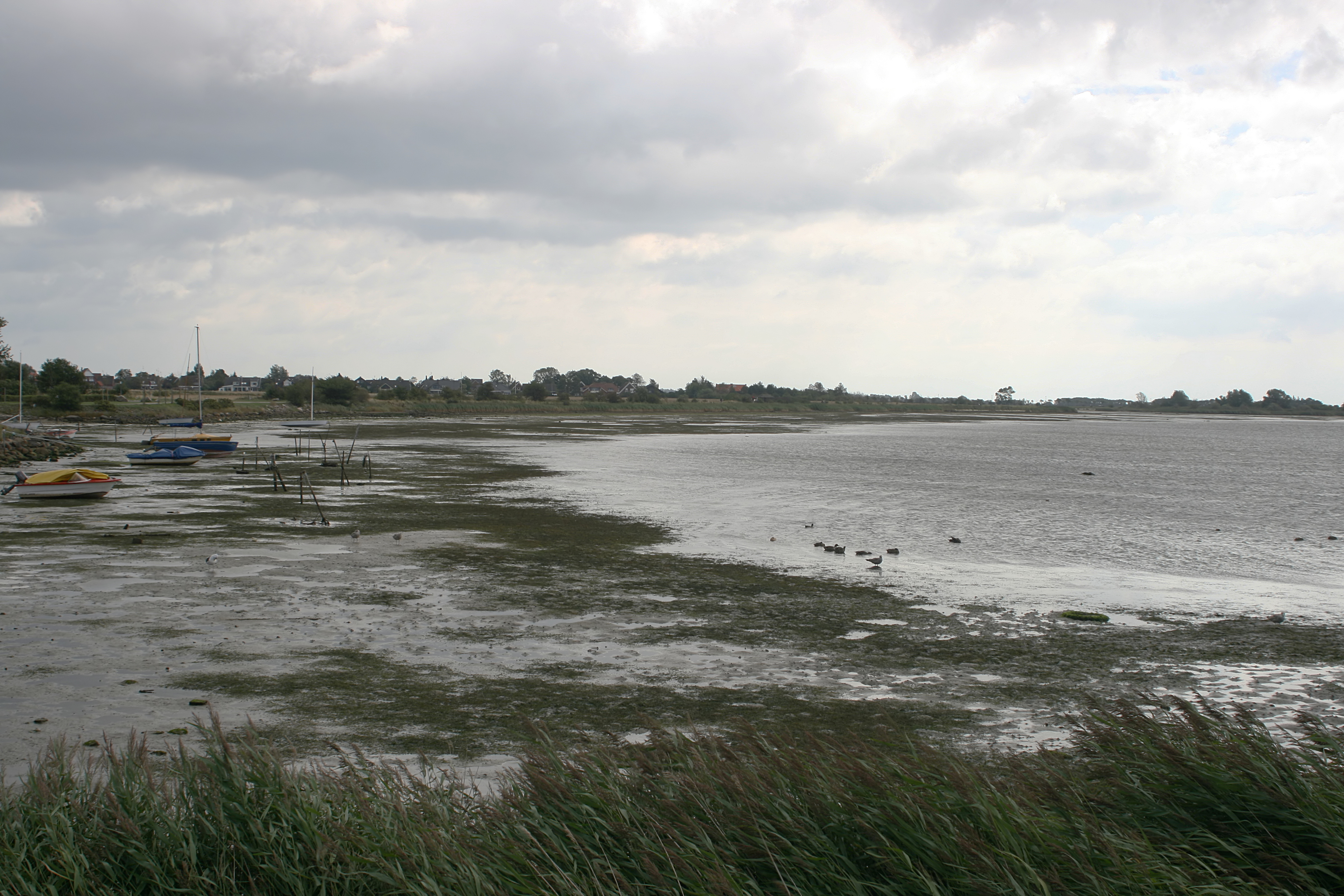 20080814110956.jpg