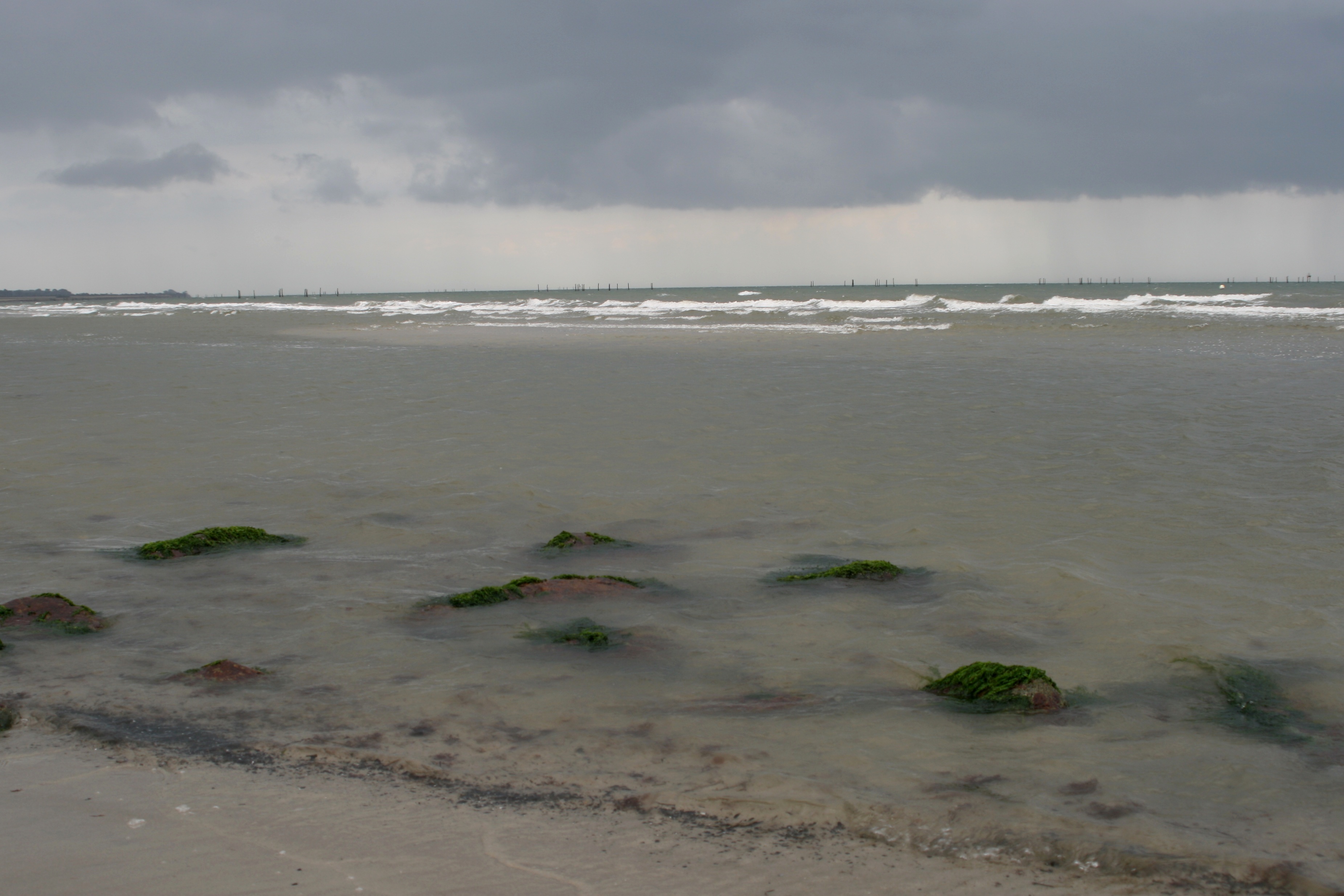 20080814165210.jpg
