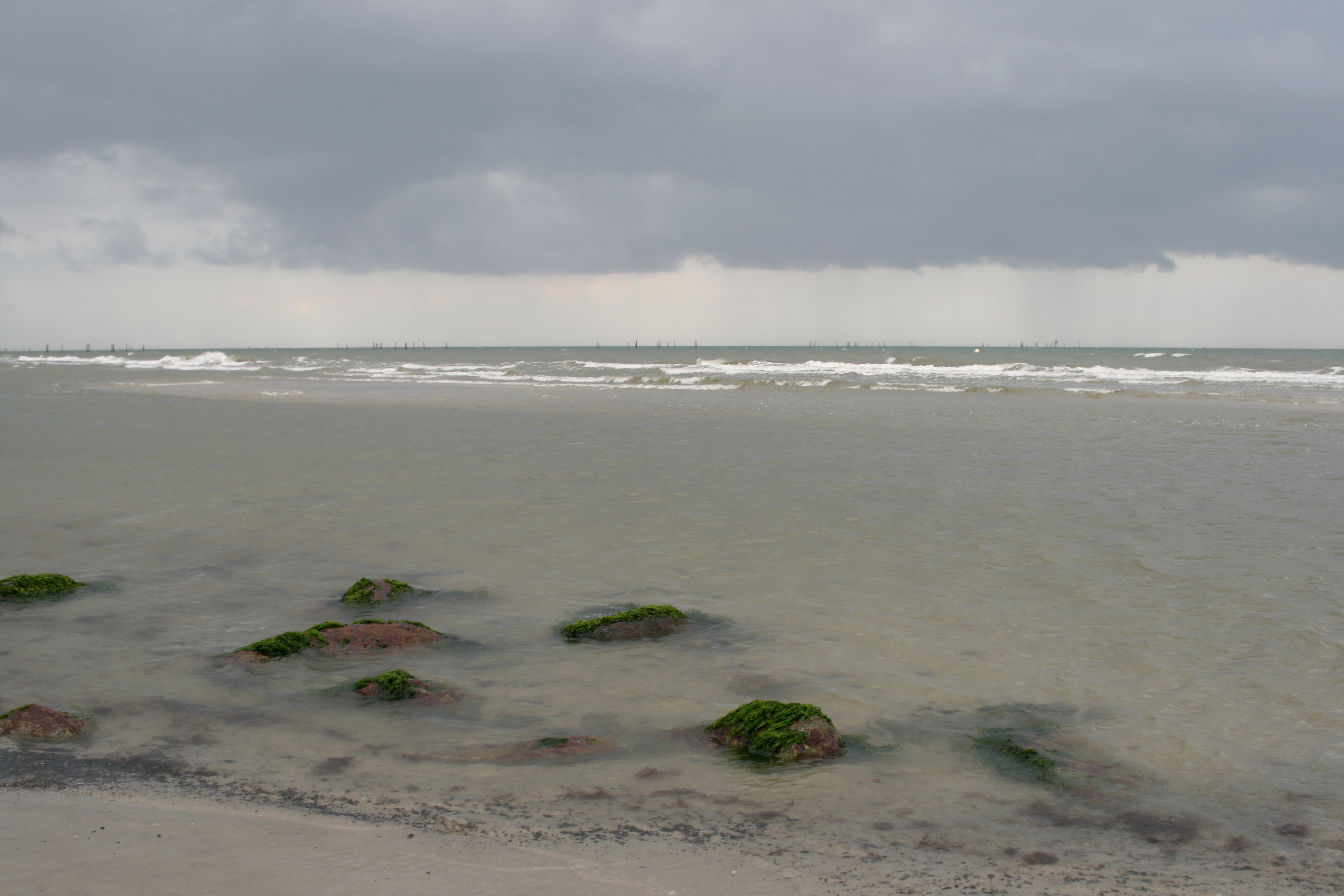 20080814165233.jpg