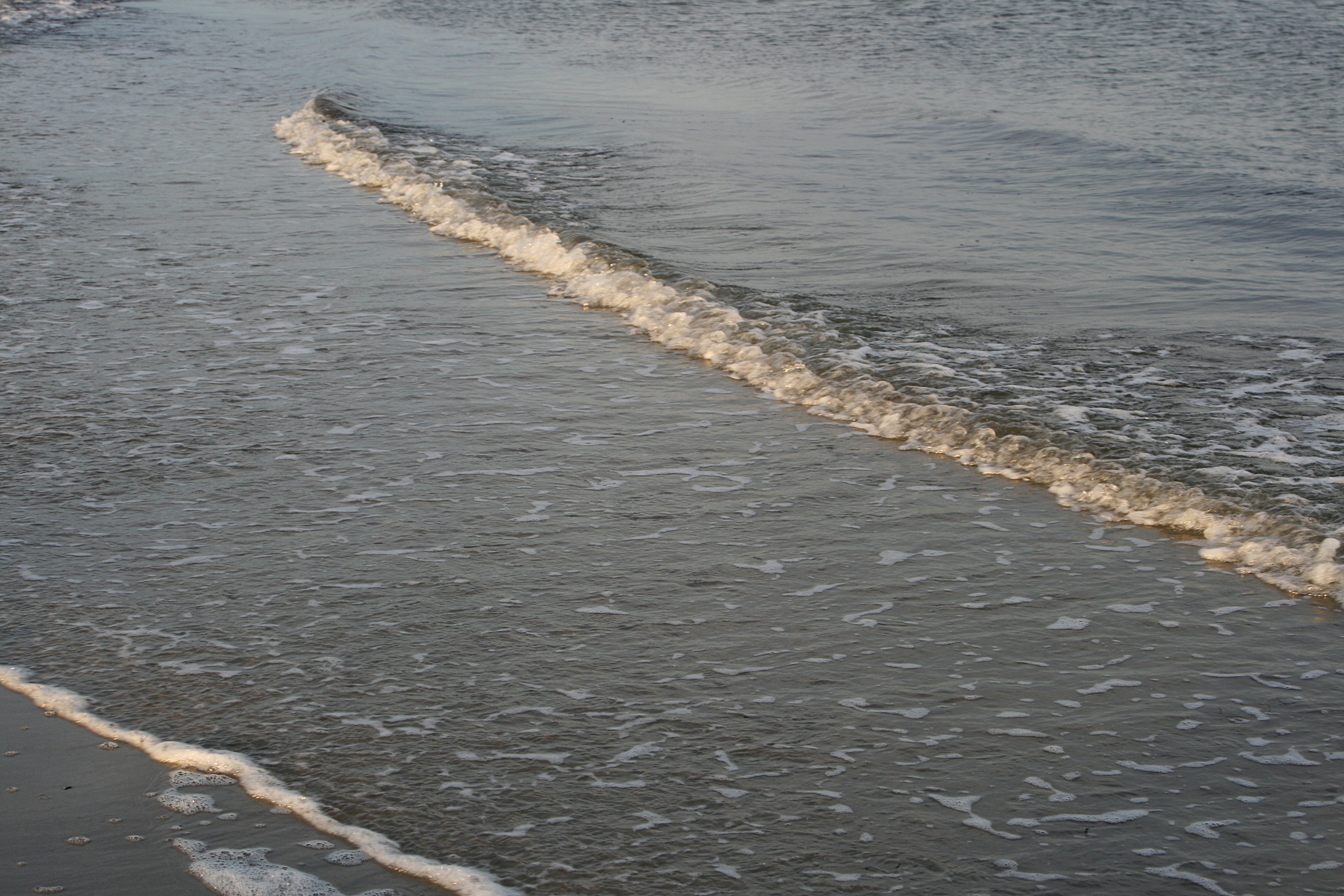 20080814195819.jpg