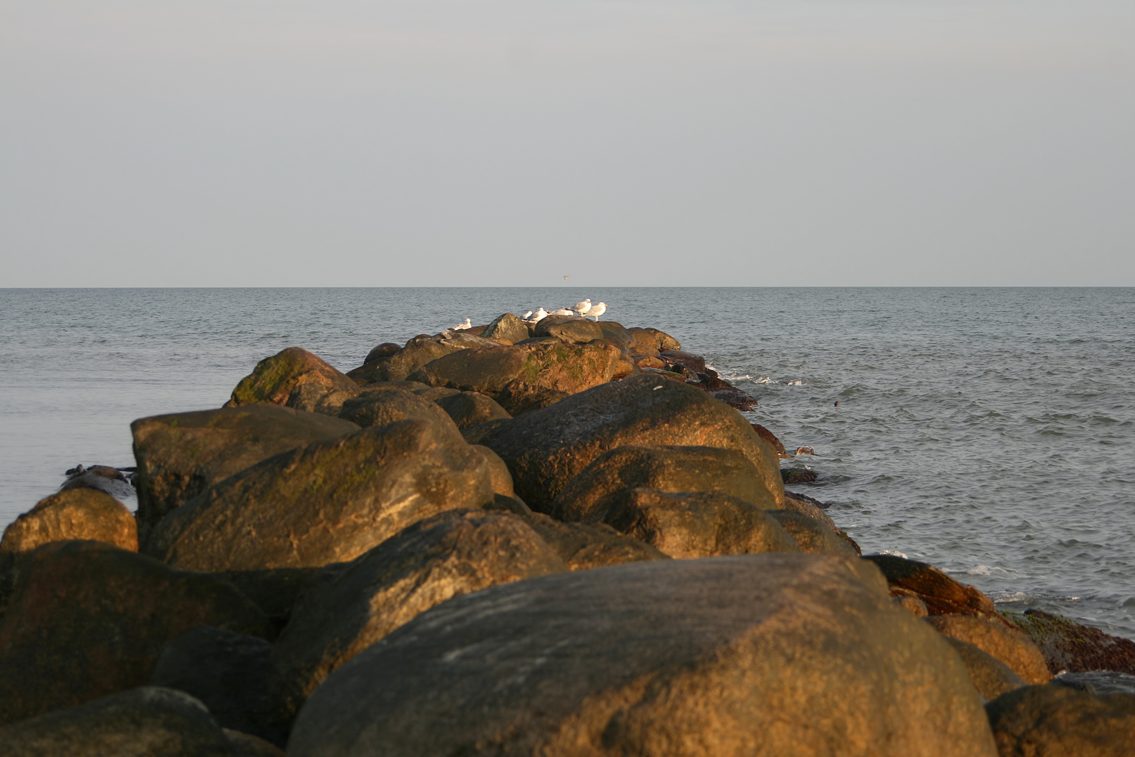 20080814195918.jpg