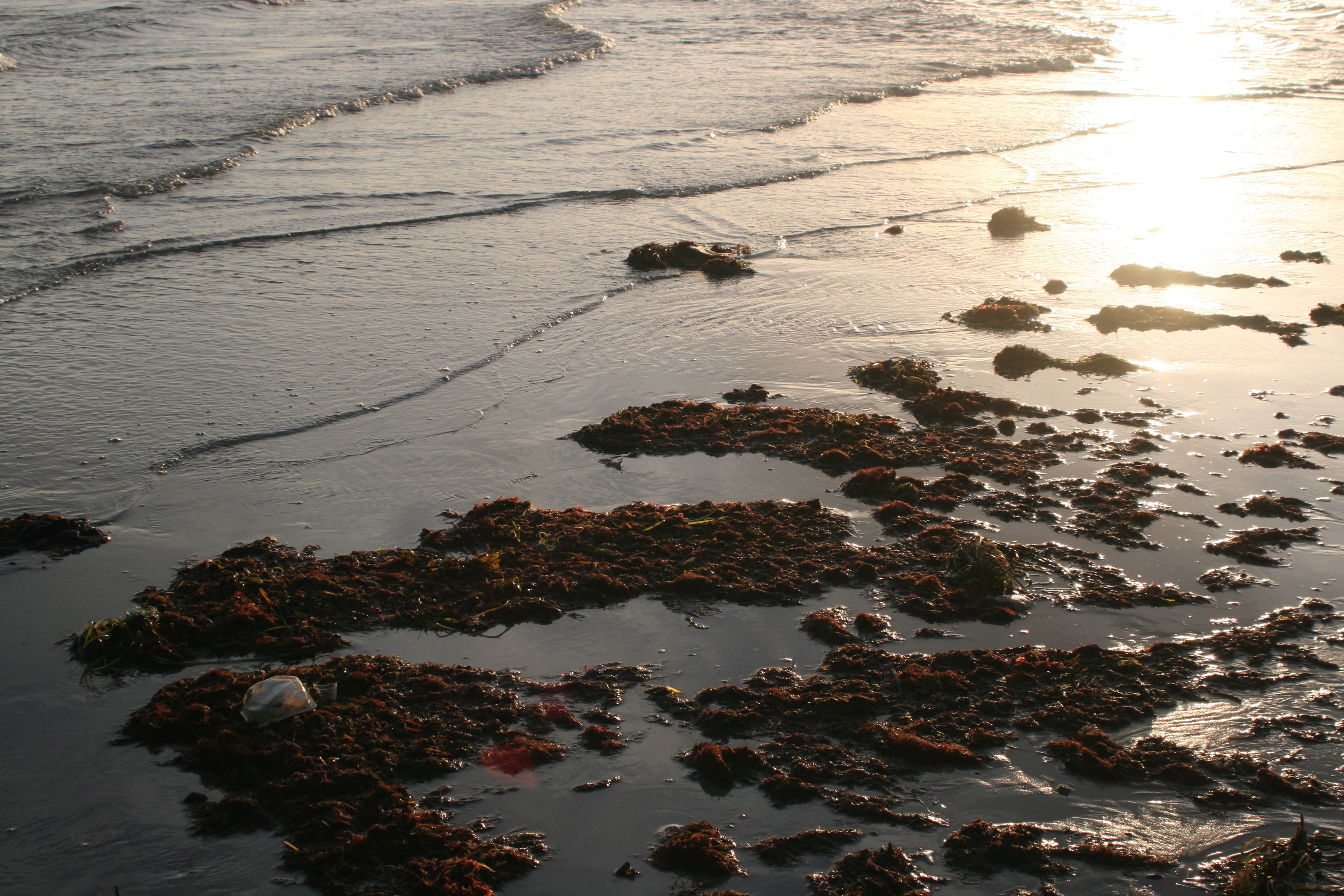 20080814200244.jpg