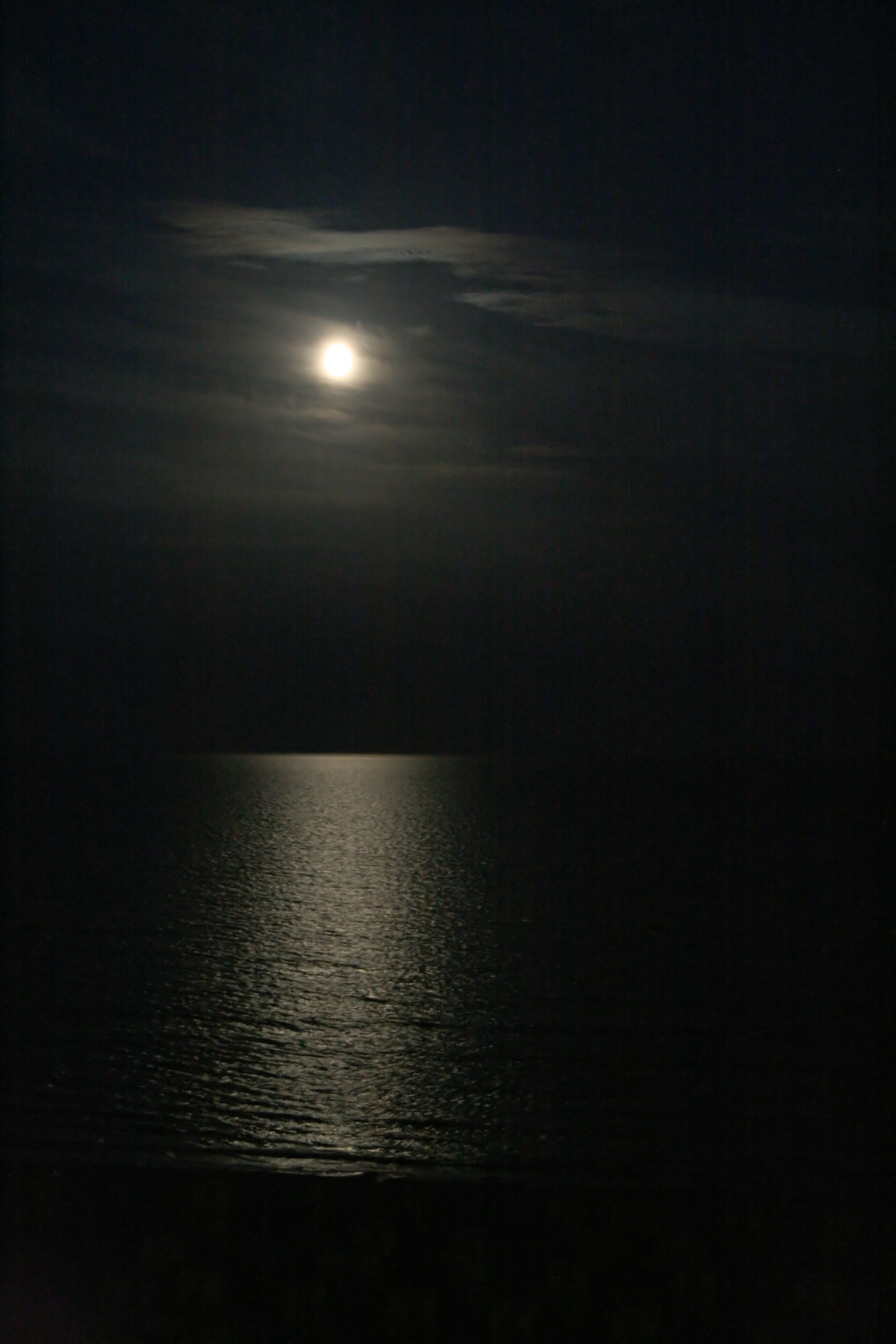 20080814220252.jpg