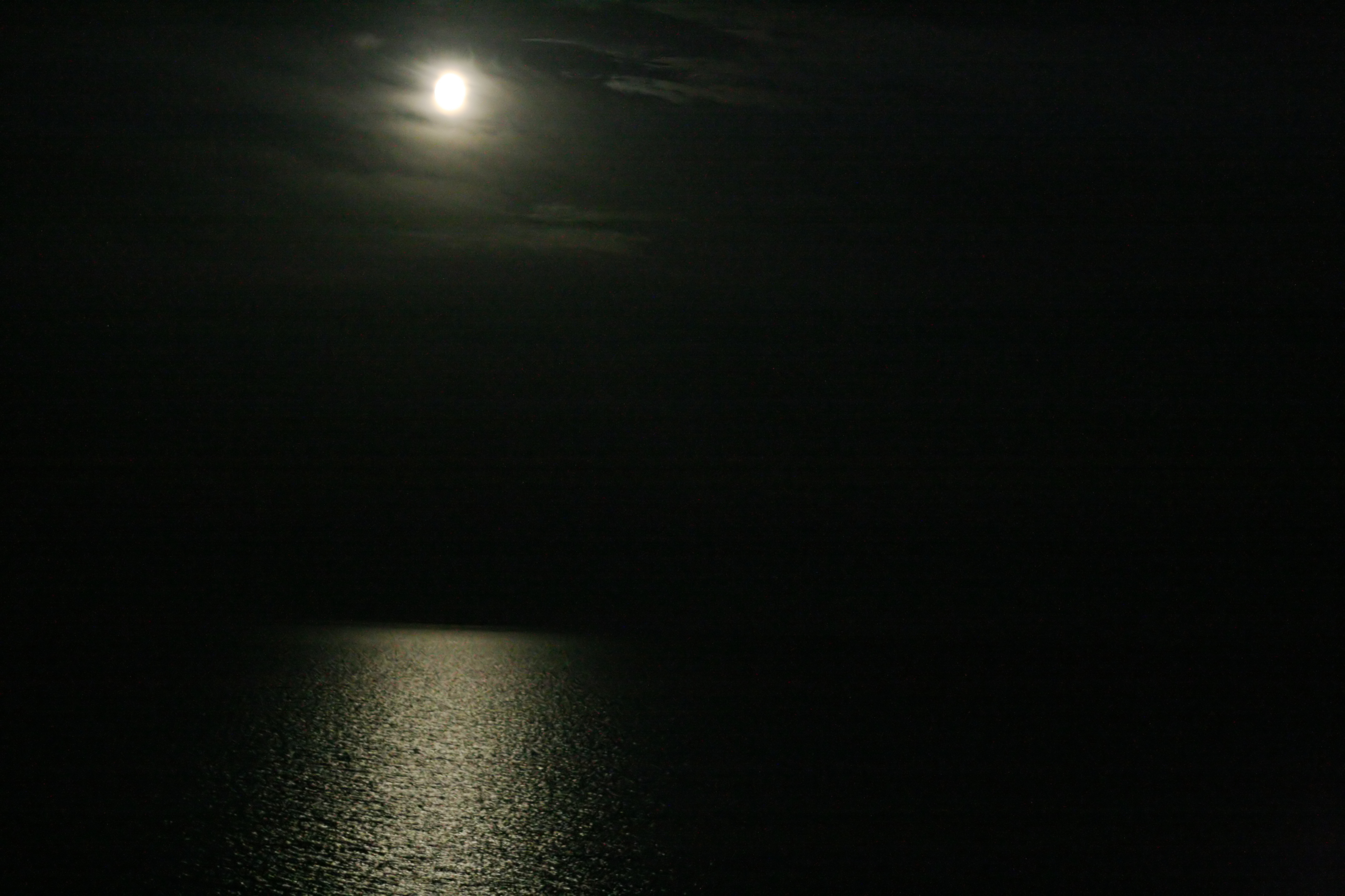 20080814220445.jpg