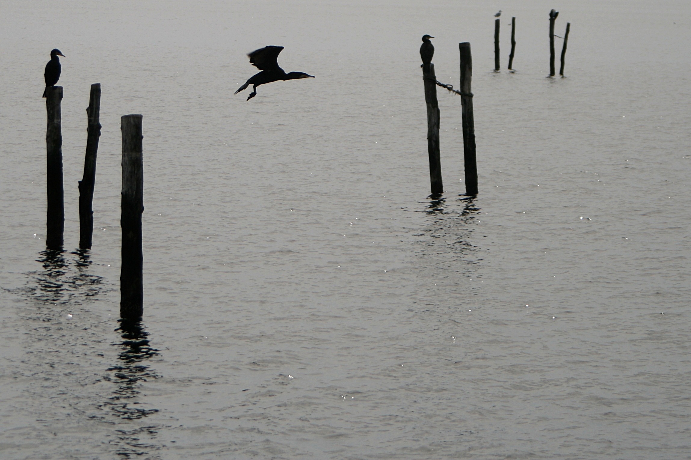 20080815114610.jpg