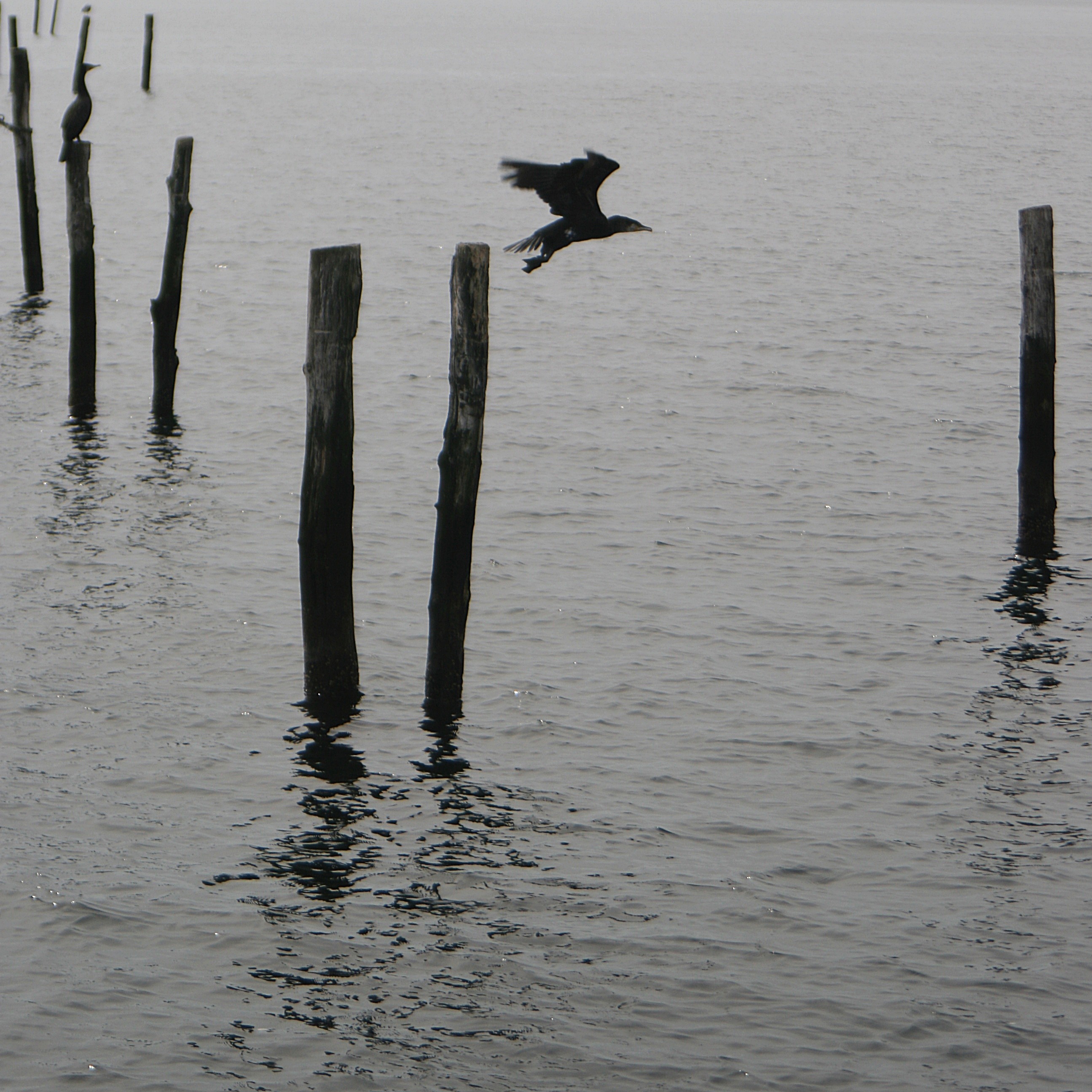 20080815114618.jpg