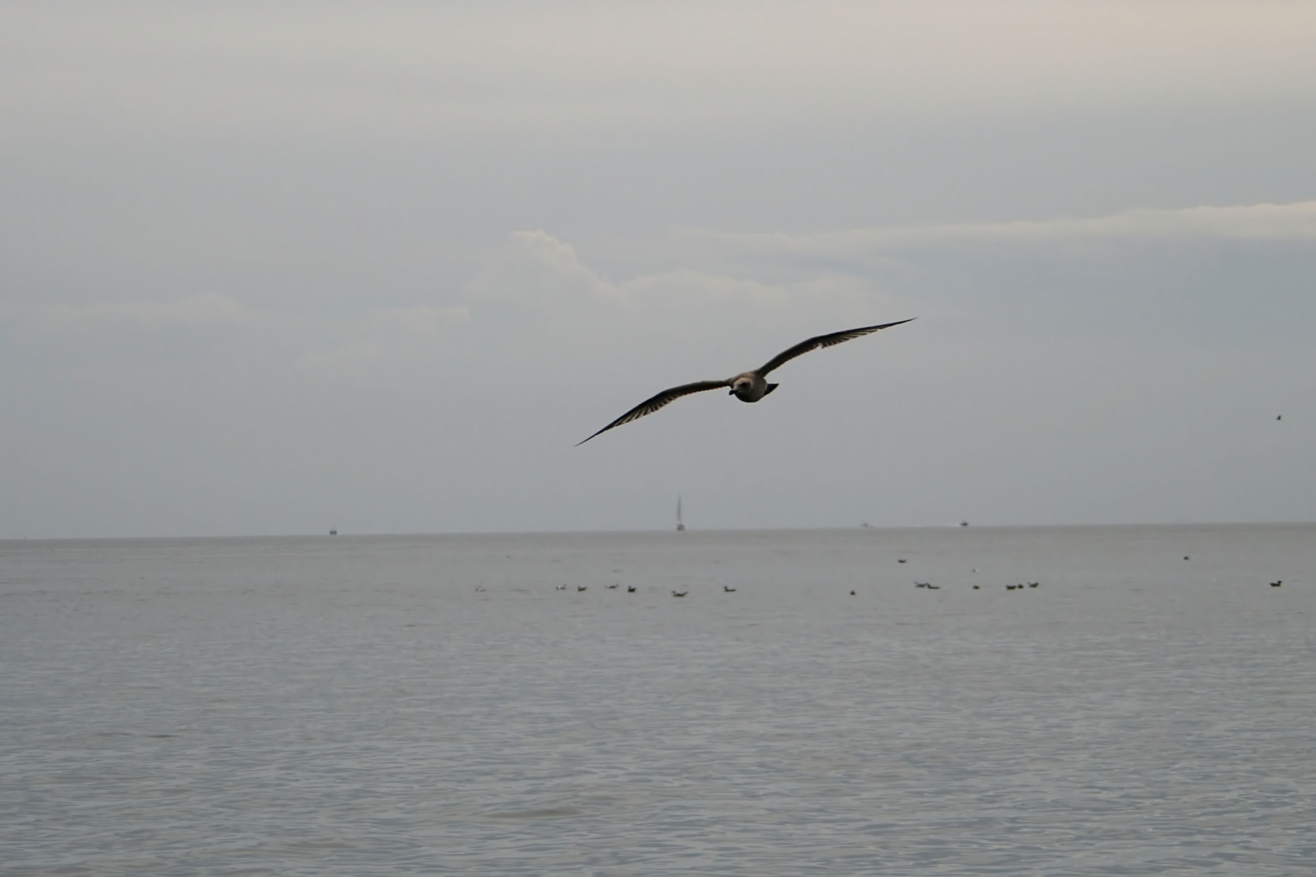 20080815121355.jpg