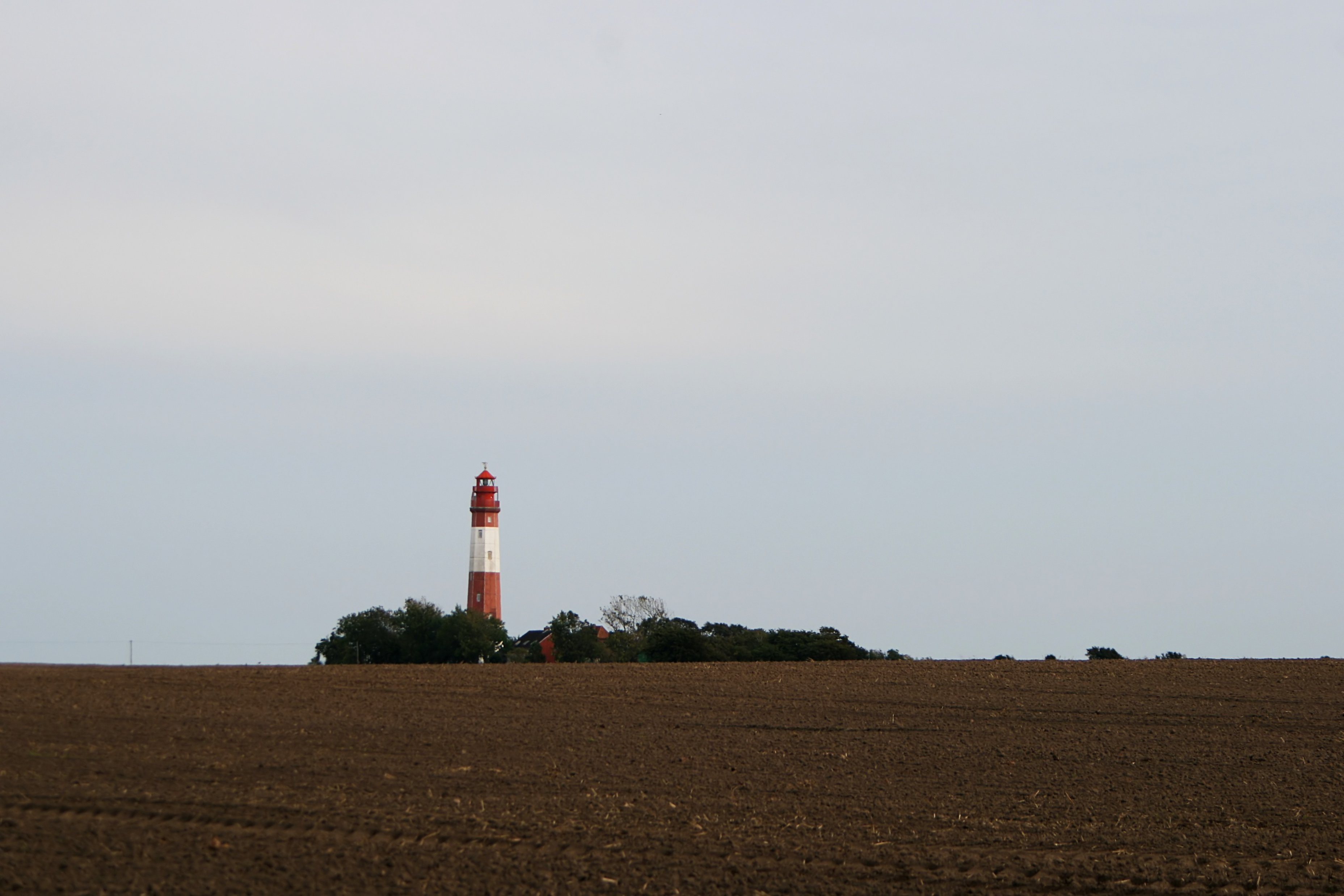 20080815181656.jpg