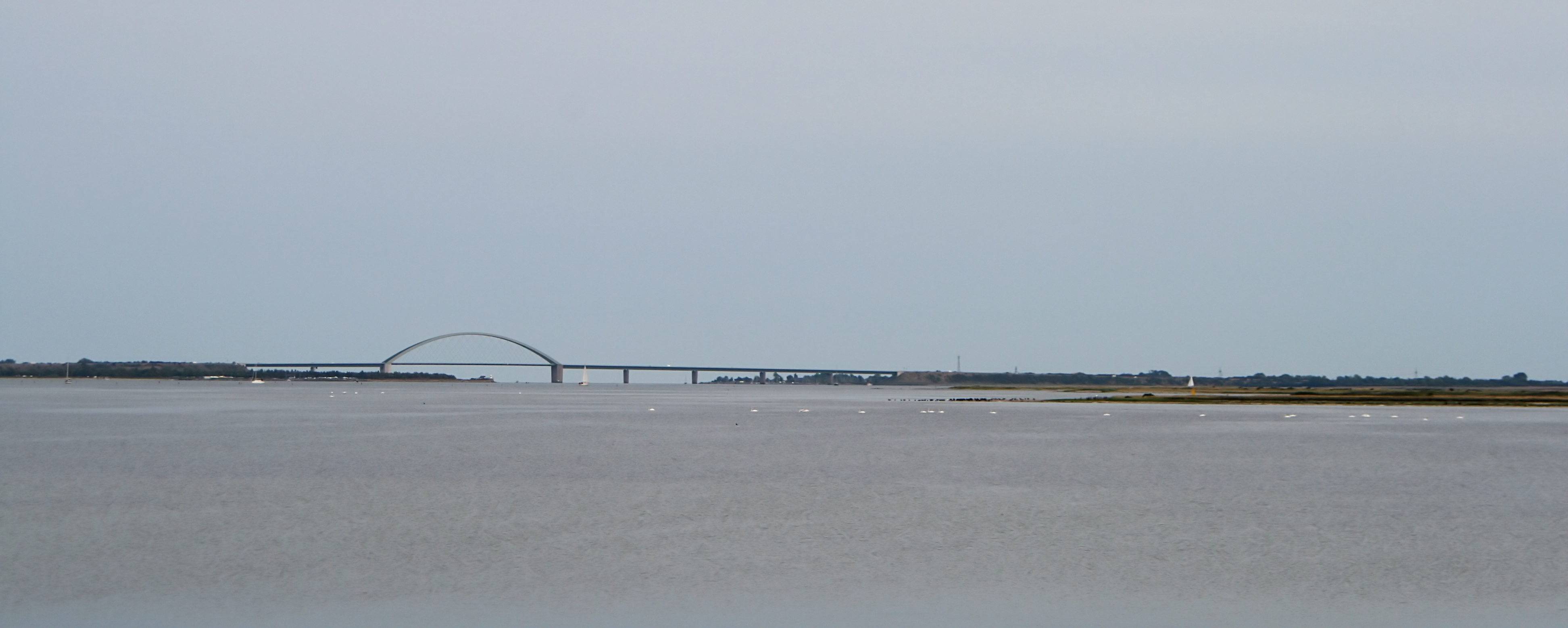 20080815182956.jpg
