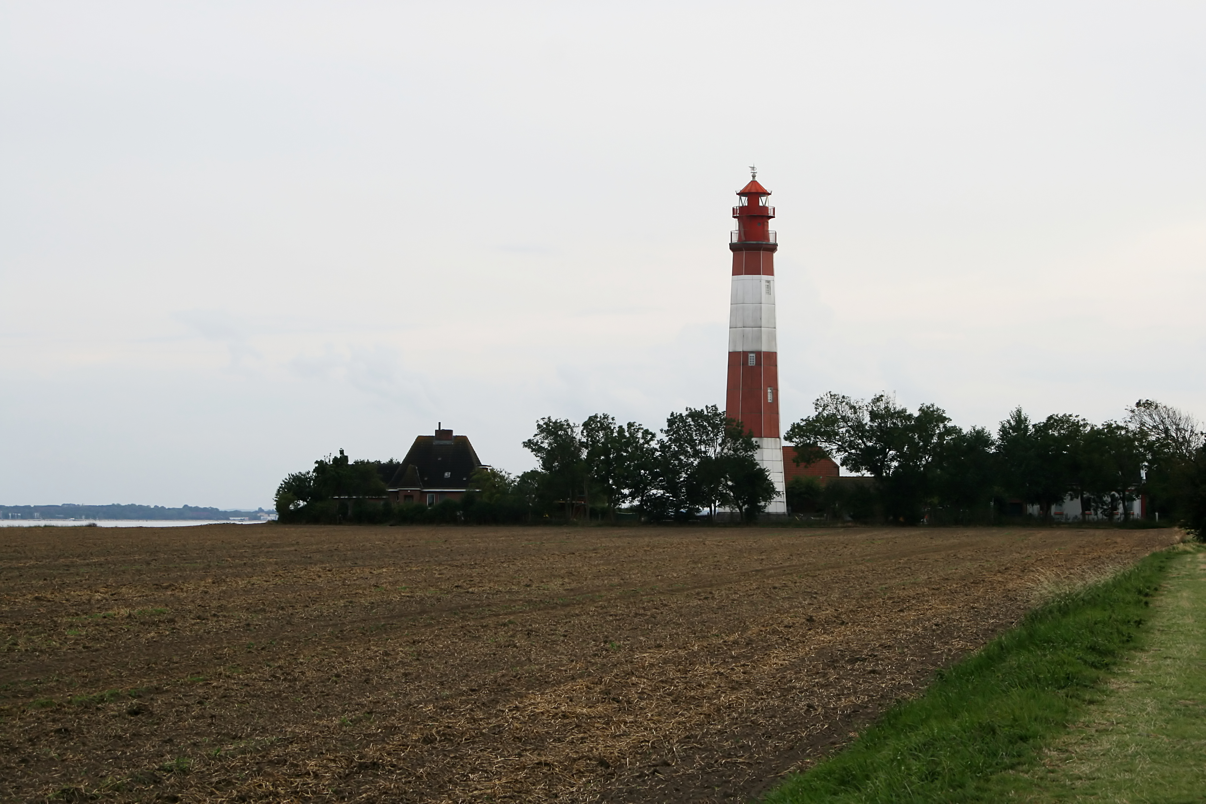 20080815183109.jpg