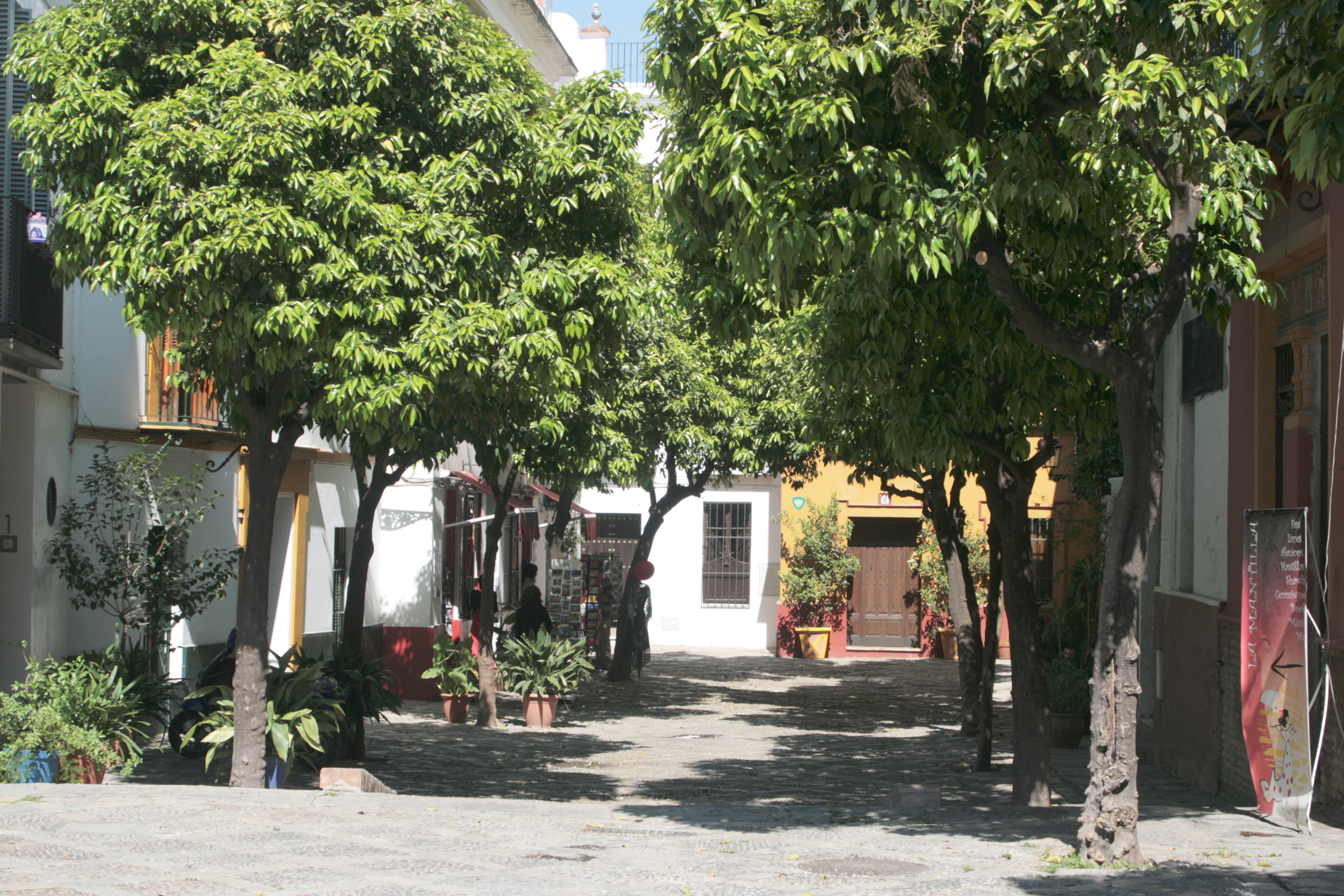 20090330125949.jpg