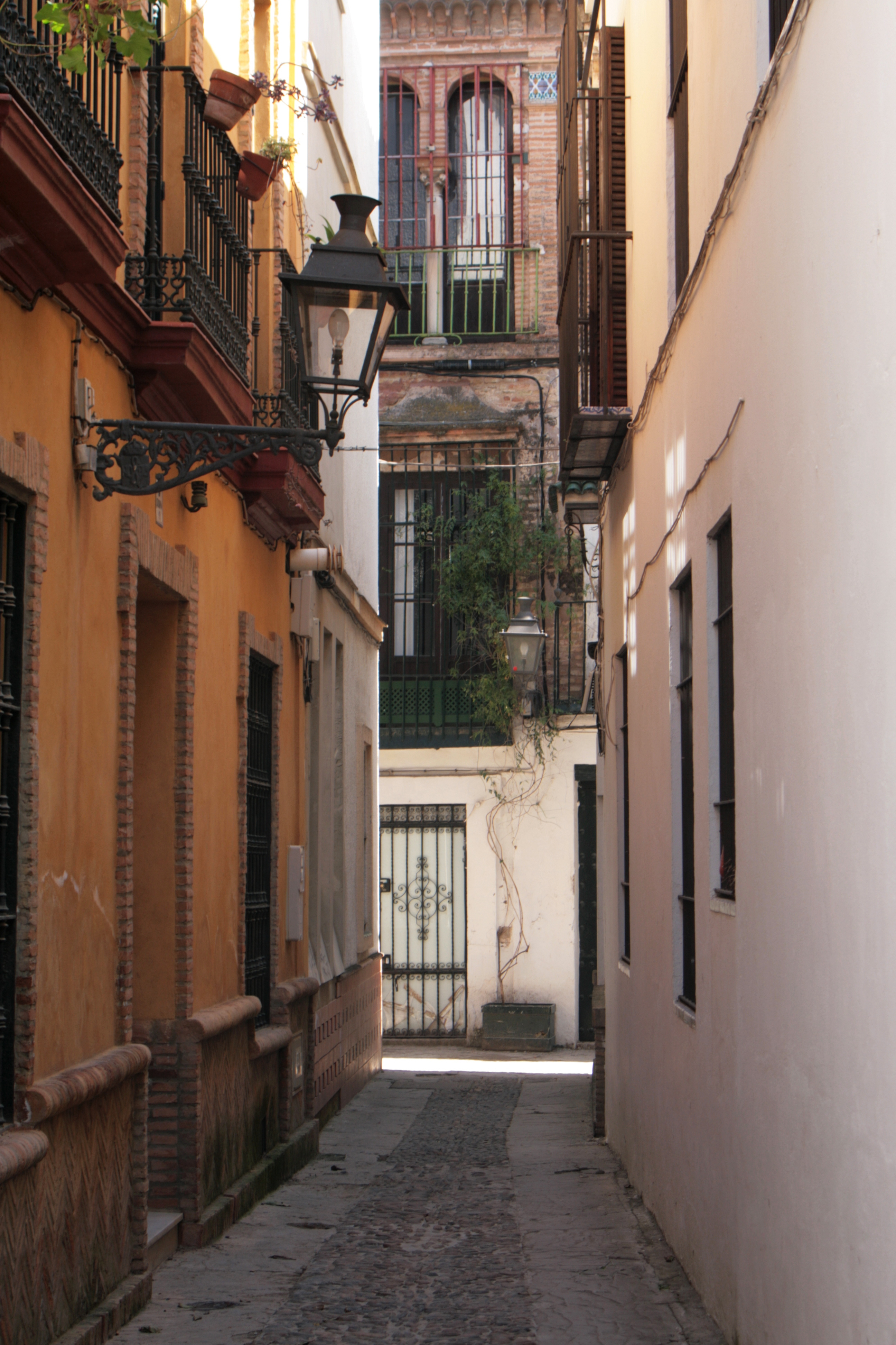 20090330130453.jpg