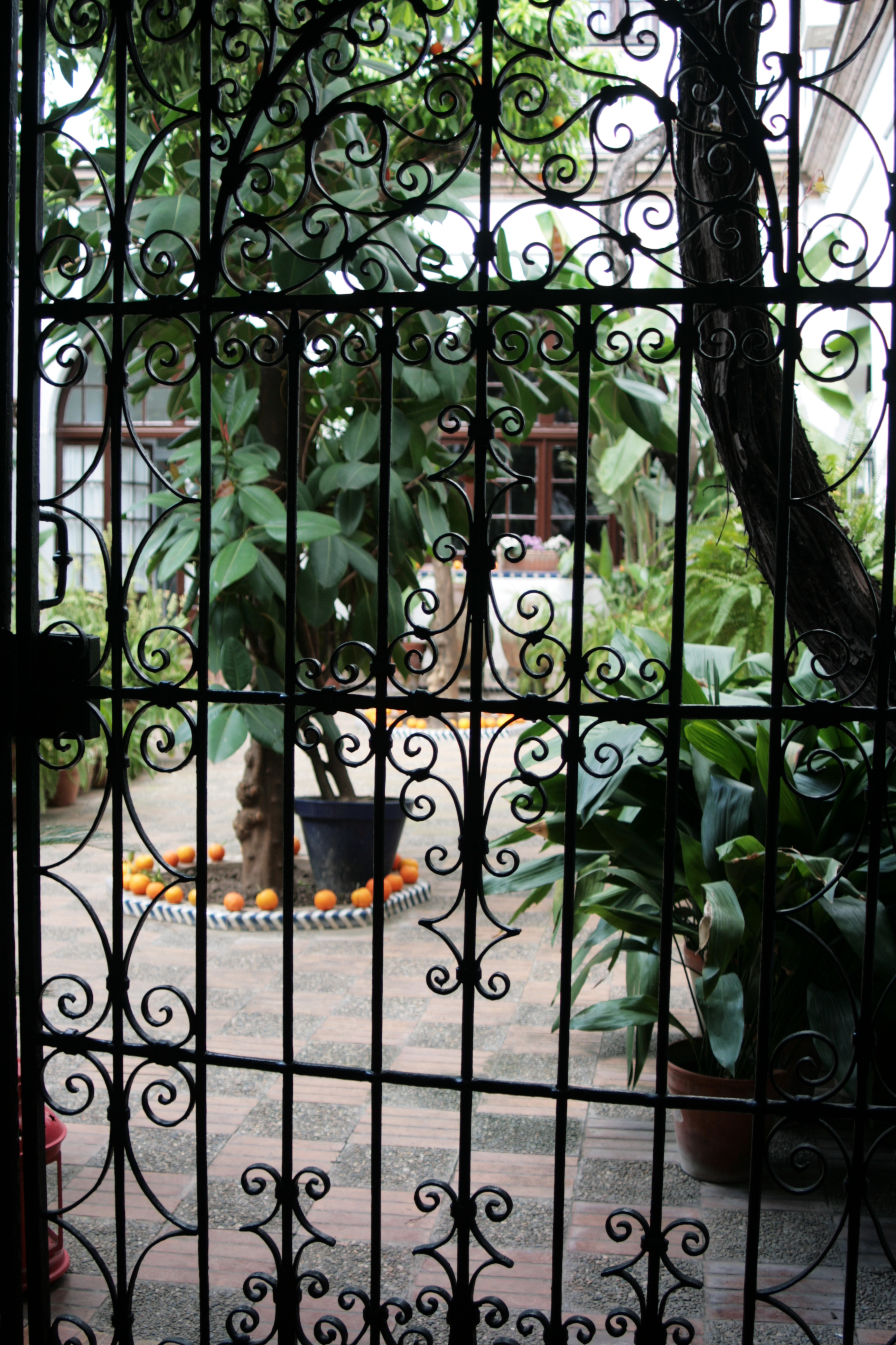 20090330160624.jpg