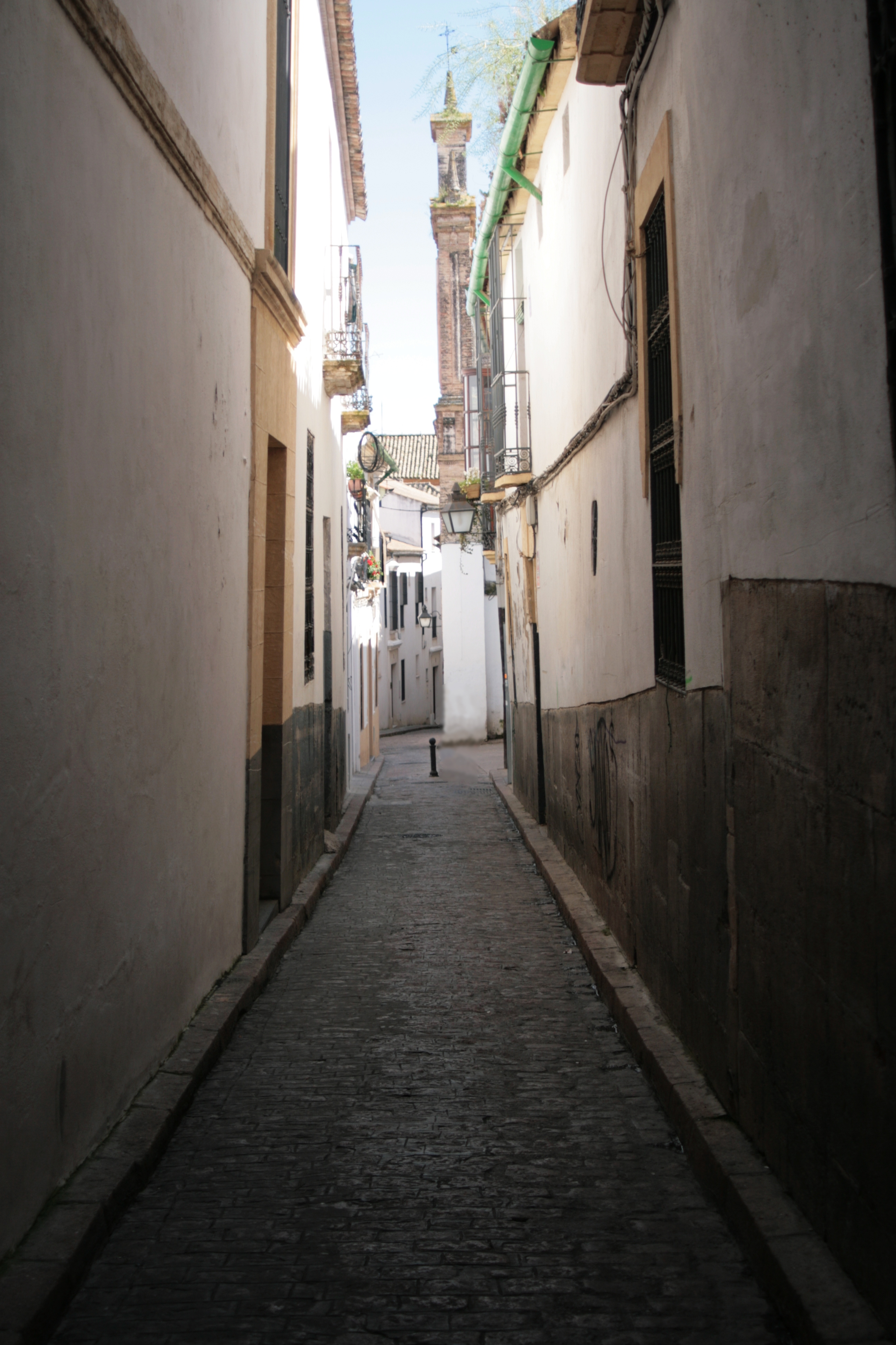20090331152816.jpg
